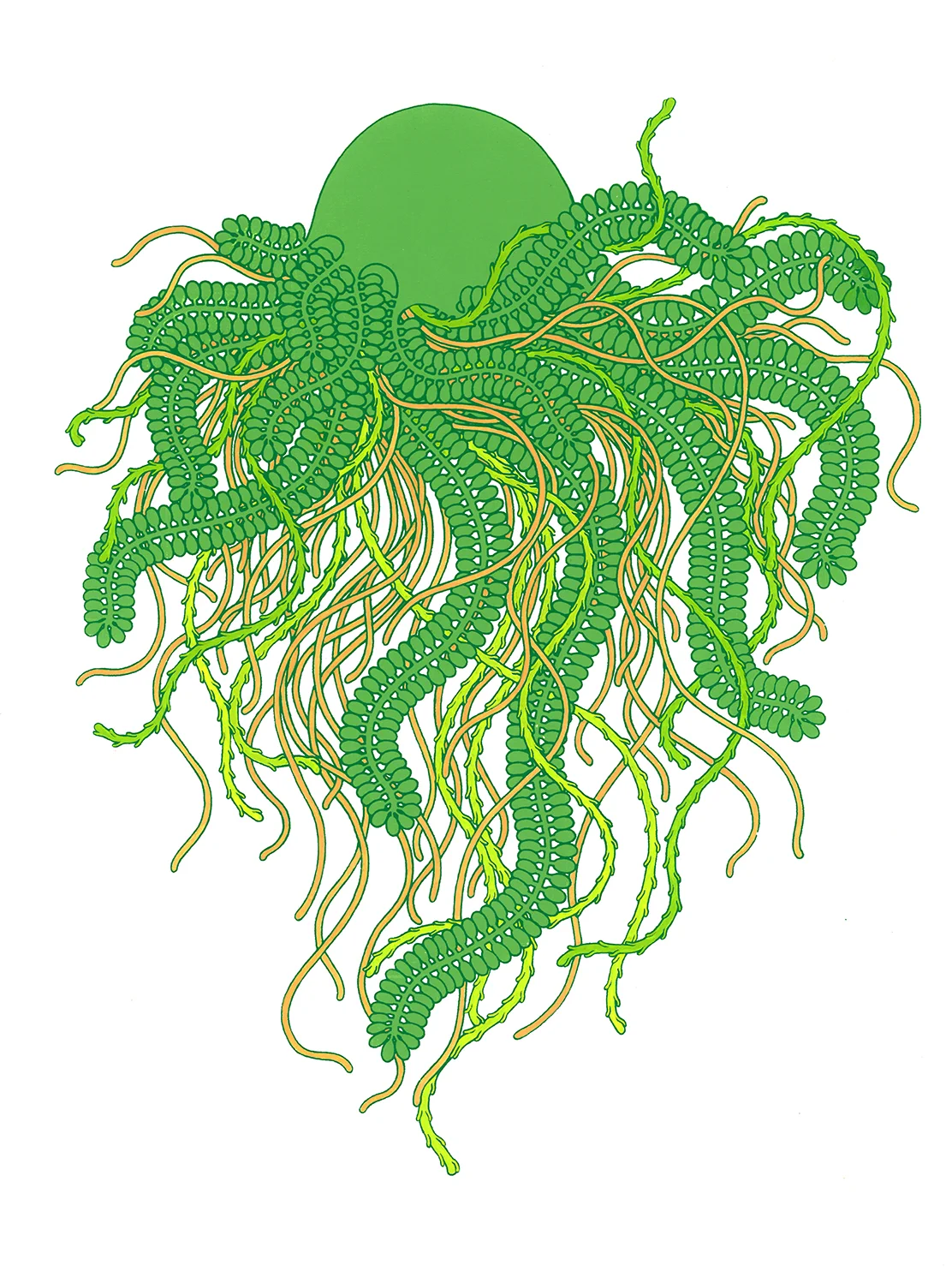 Imaginary Jellyfish 004 , 2019, 30cmx40cm. Ink and gouache painting.
