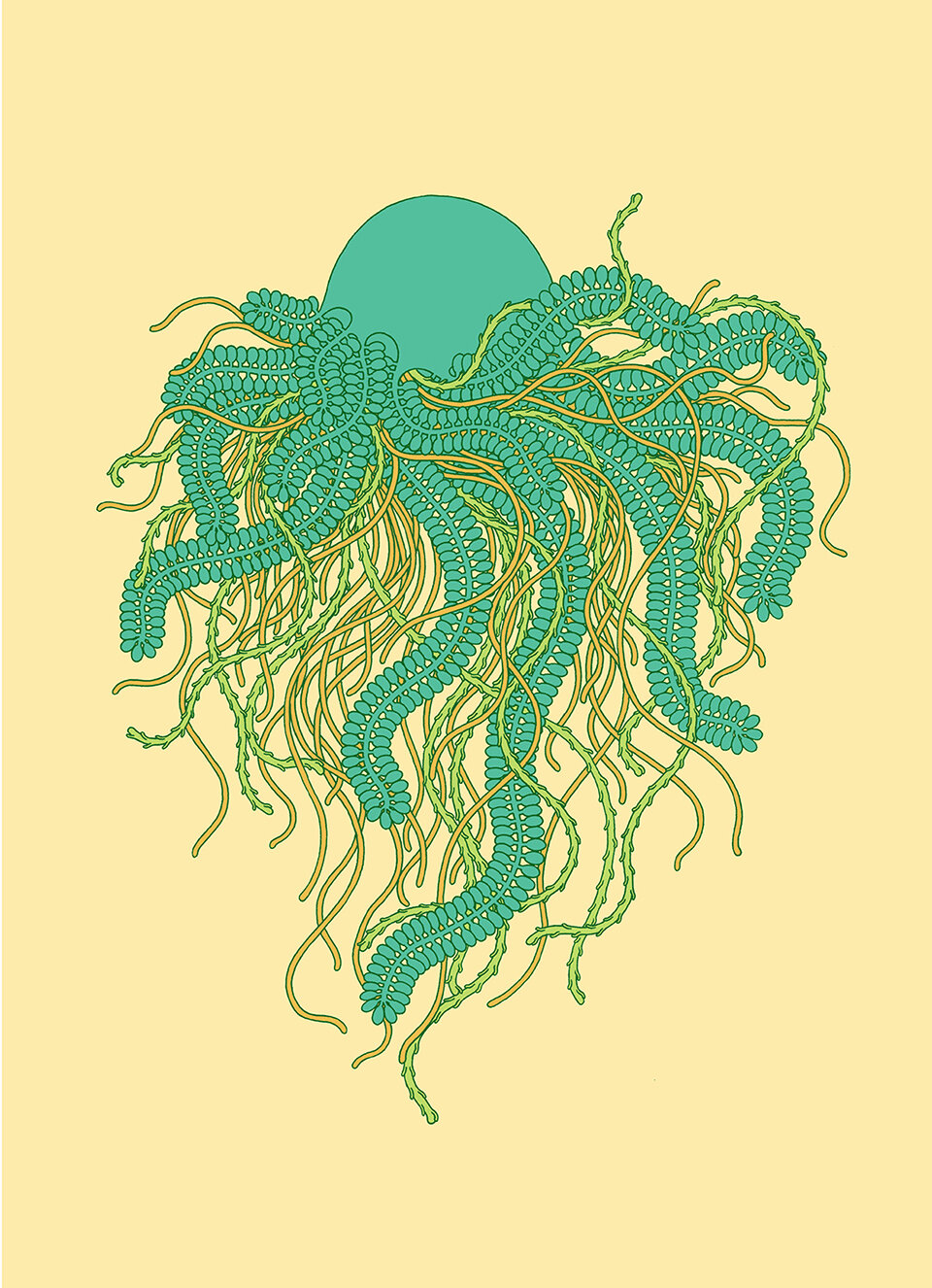 Post card_Jellyfish_Green_Low.jpg