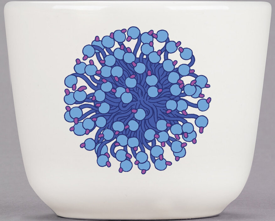 Mock up_Resized_Plankton 05_Blue.jpg