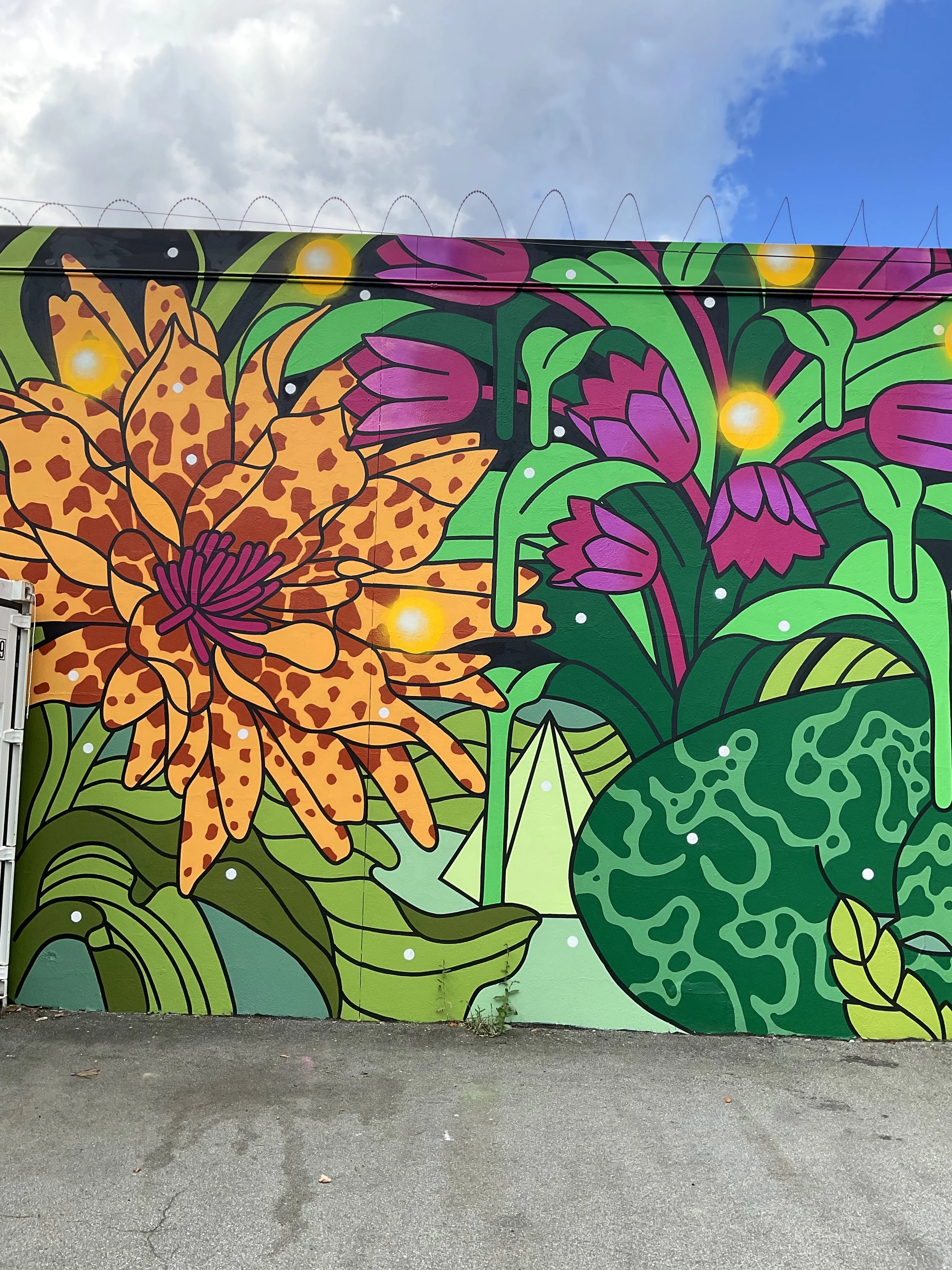  “The Encounter”  17’x75’ Exterior Acrylic Paint + Spray paint  Astro Studio, VANCOUVER - 2025  Client: Astro studio 