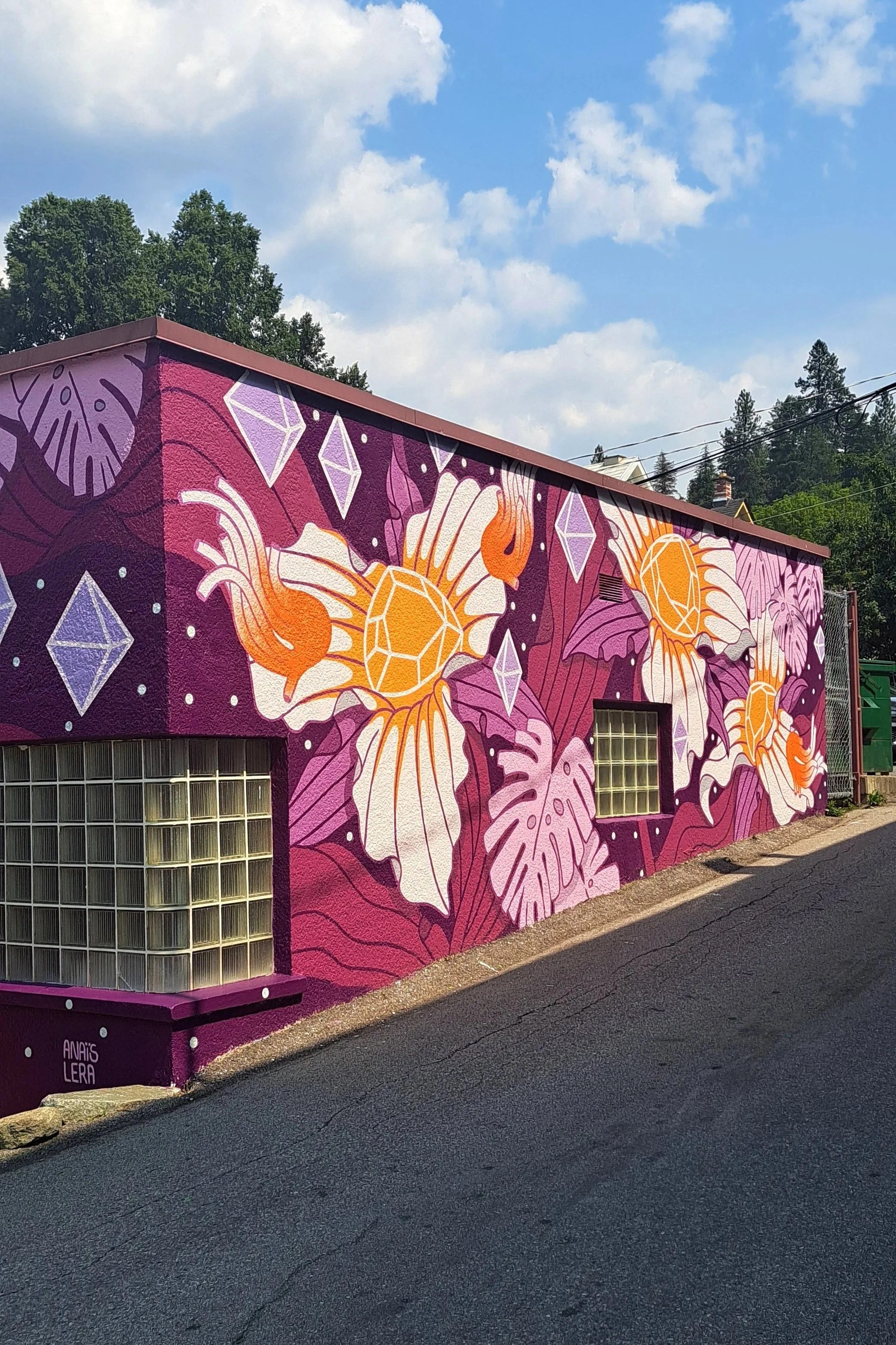  "Trillium Symphony" painted for Nelson Mural Festival  40’x12’ Exterior Acrylic Paint, Spray paint  Nelson, BC, Canada - 2024  Client: Nelson Mural festival 