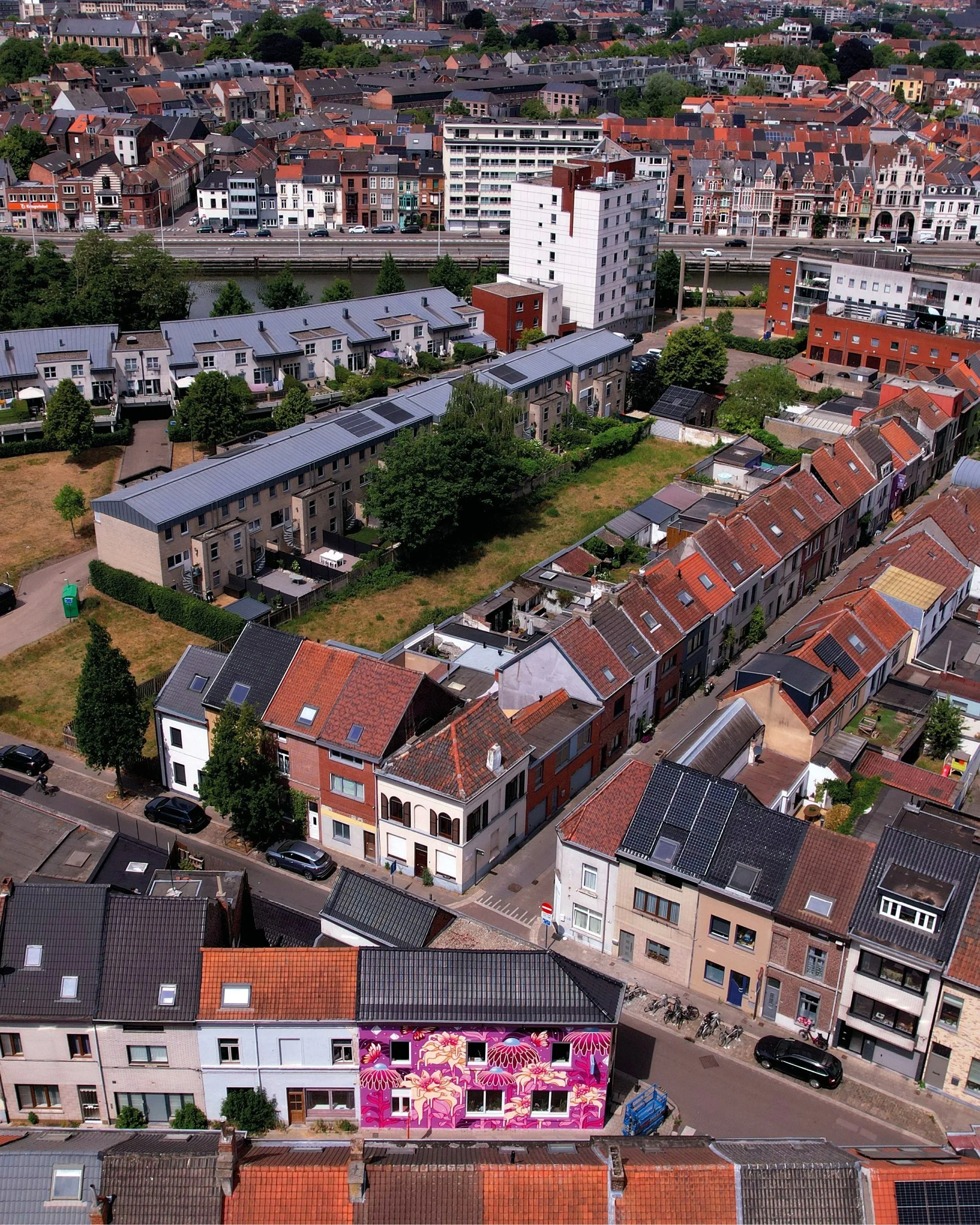  “Bloeiende toppen” (Flowering Buds)  20’x30’ Exterior Acrylic Paint, Spray paint.&nbsp;  Bij Cafel, Ghent, BELGIUM - 2025    Client: City of Ghent + Wallin Production 