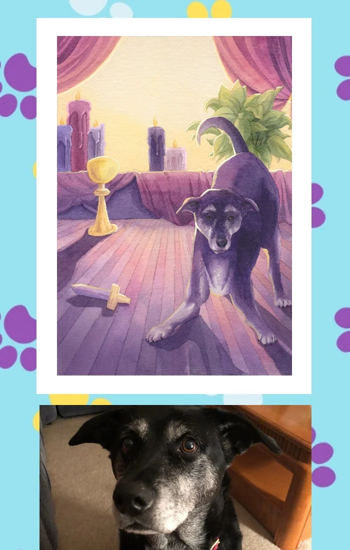 Dog in Deck shop image halo.jpg