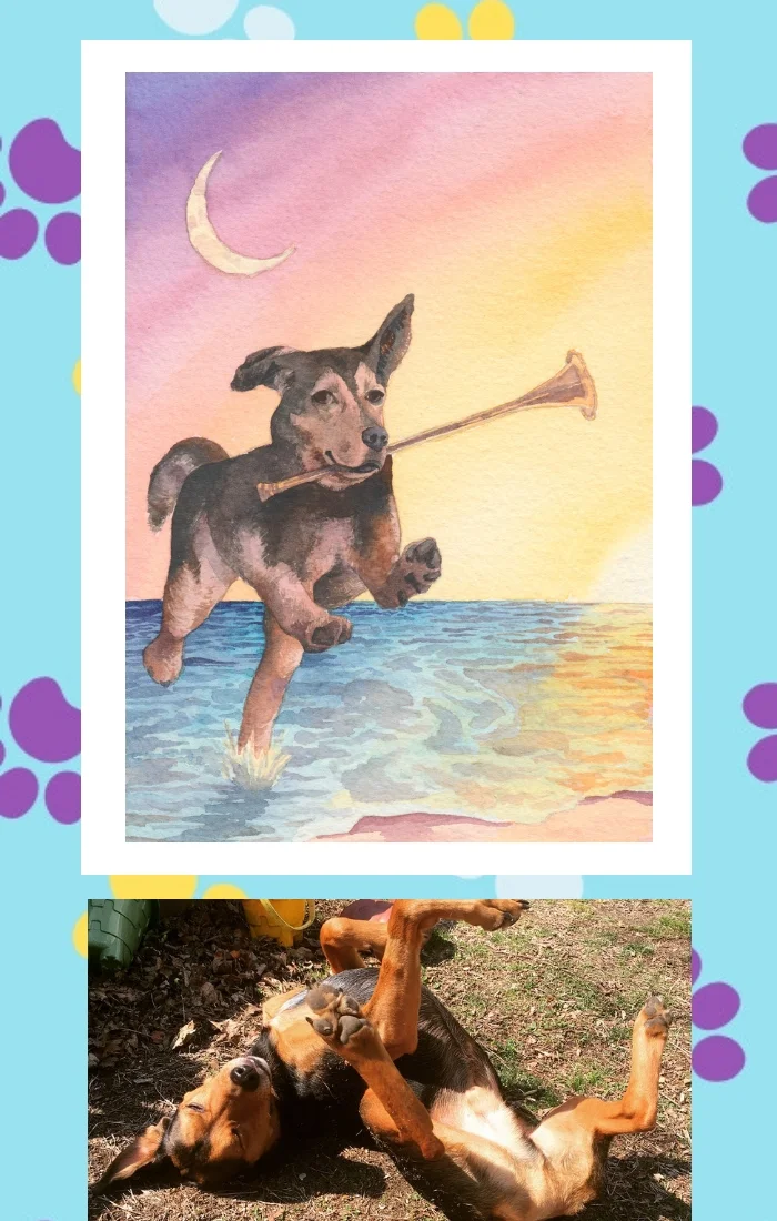 Dog in Deck shop image konrad.jpg