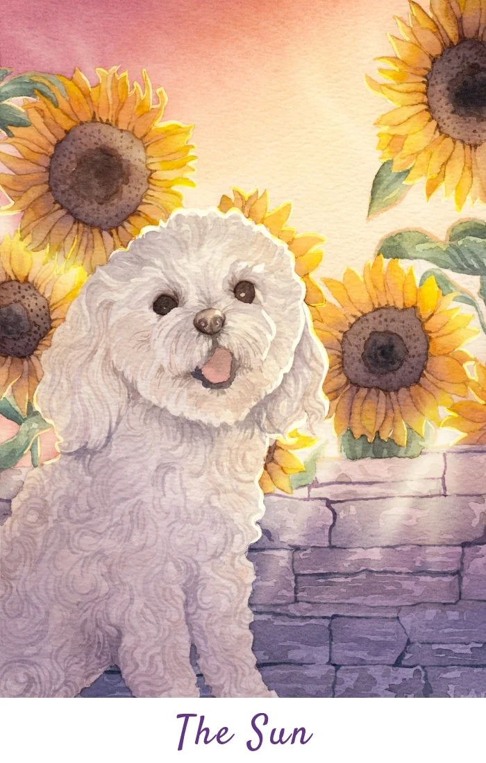 Shop image sun print.jpg