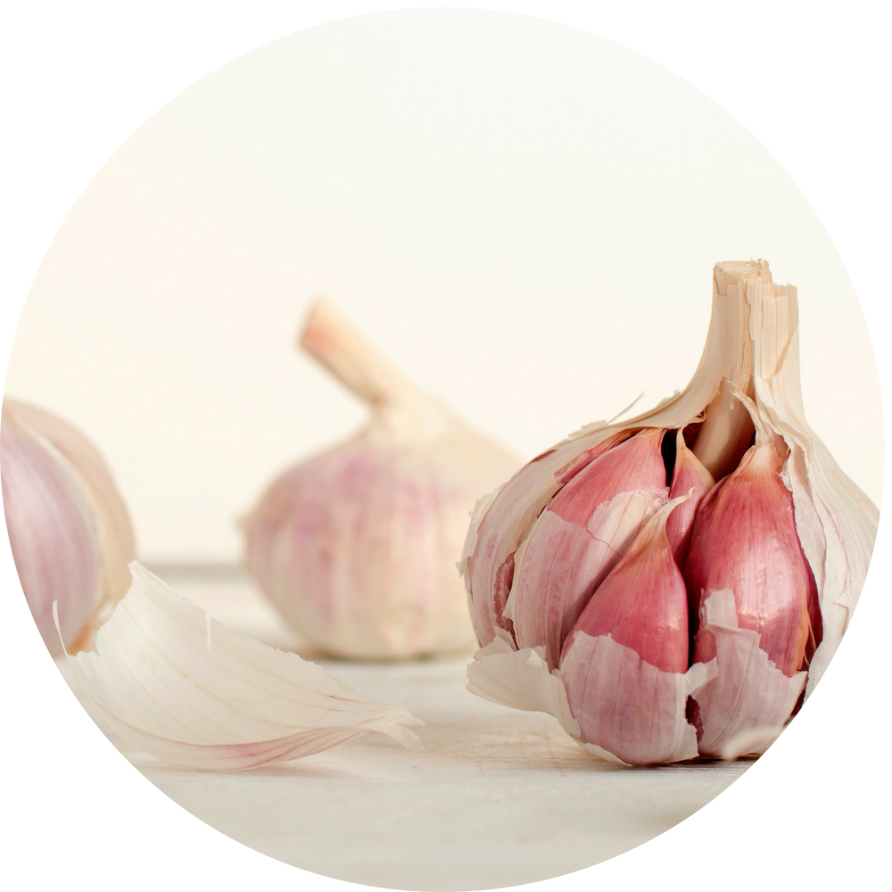Copy of Copy of Copy of 1000px × 1000px – Untitled Design (6).png