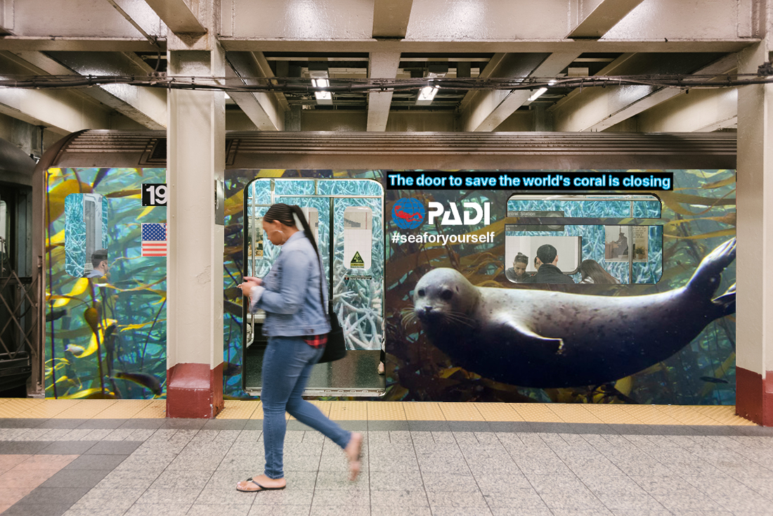 PADI subwaybleachedinside3.jpeg