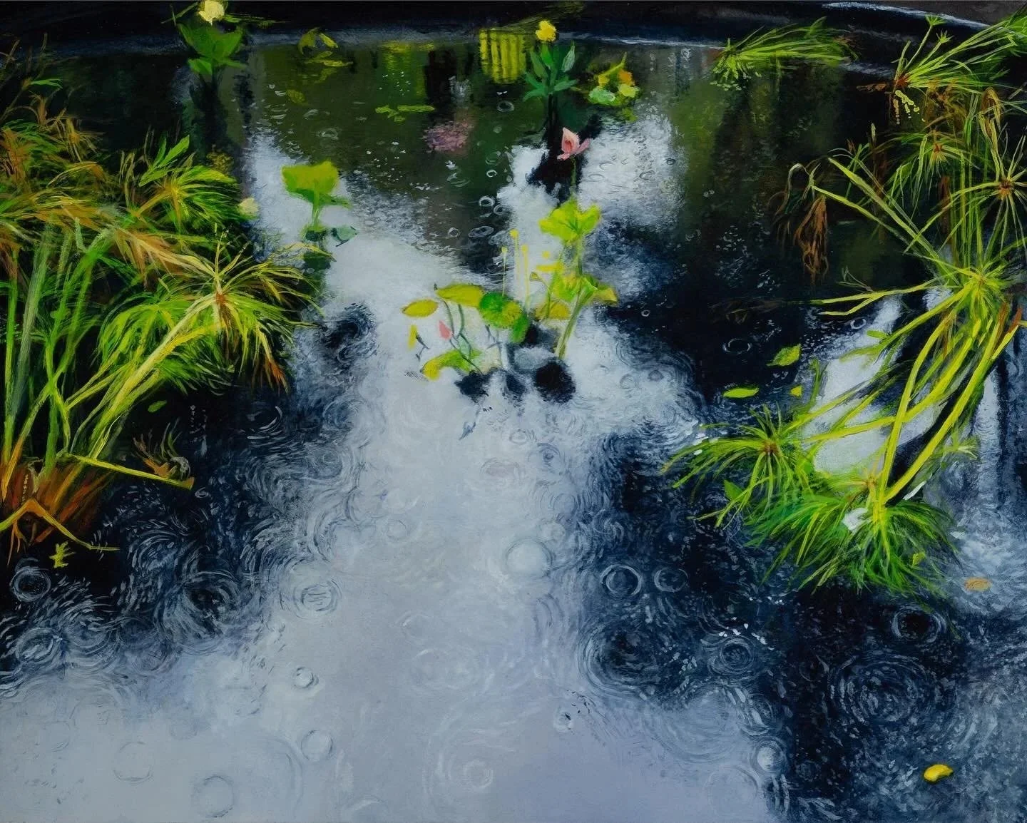 Arcadia Now:Emma Tapley