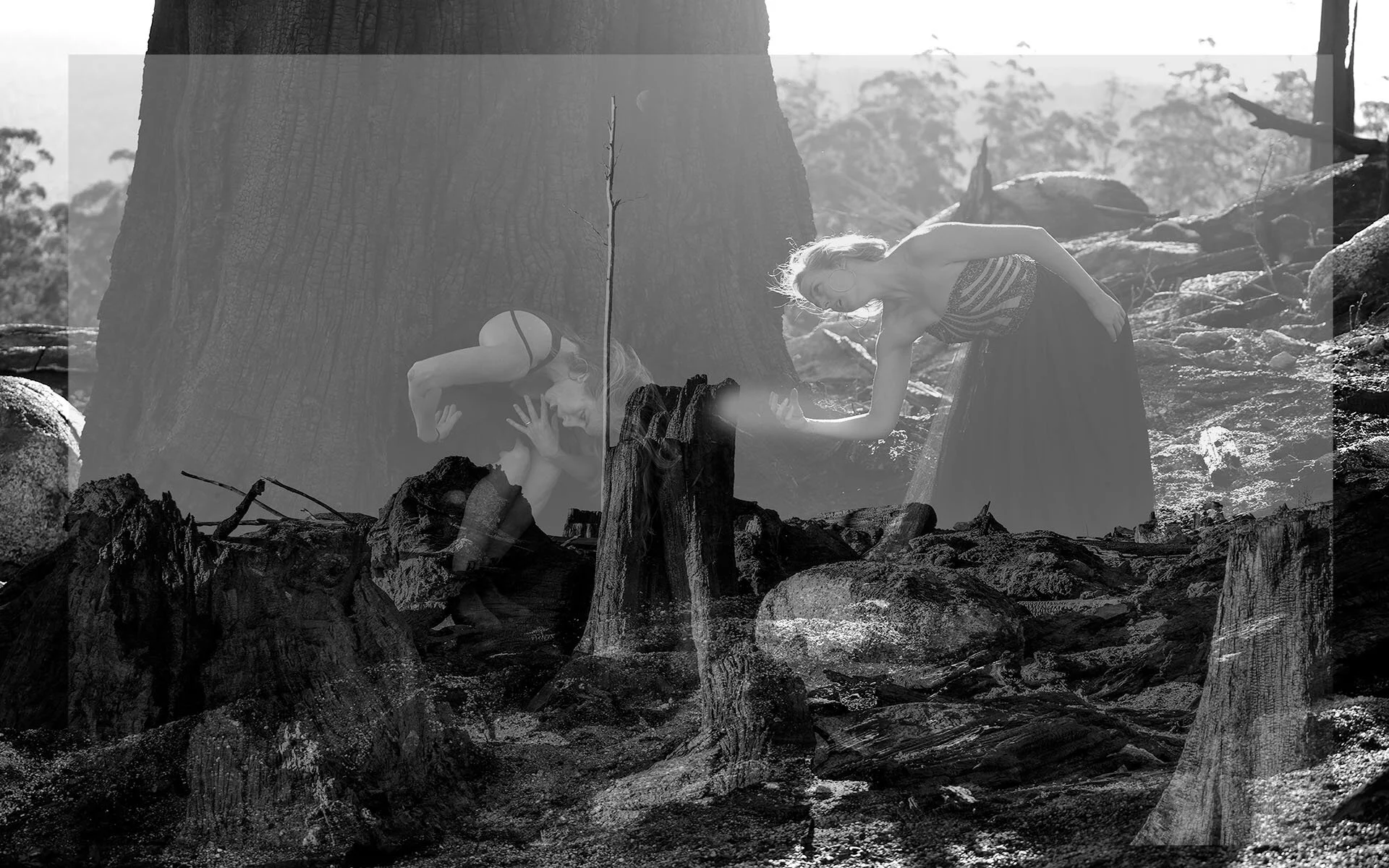 Lou Chen- MCC Entries - DPI Comp July .jpg