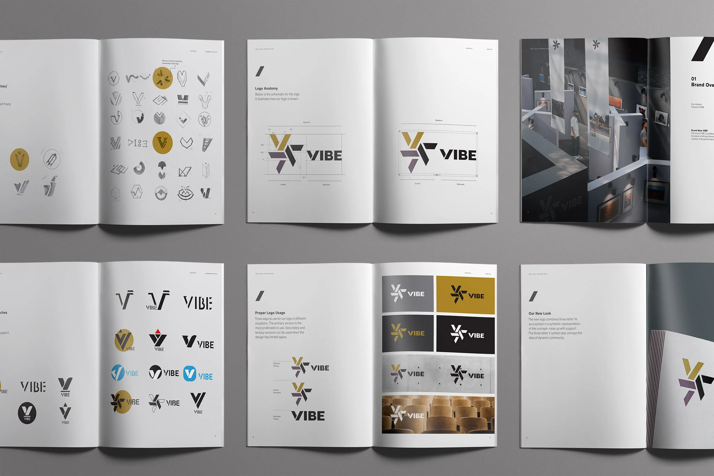 VIBE-overview1 copy.jpg