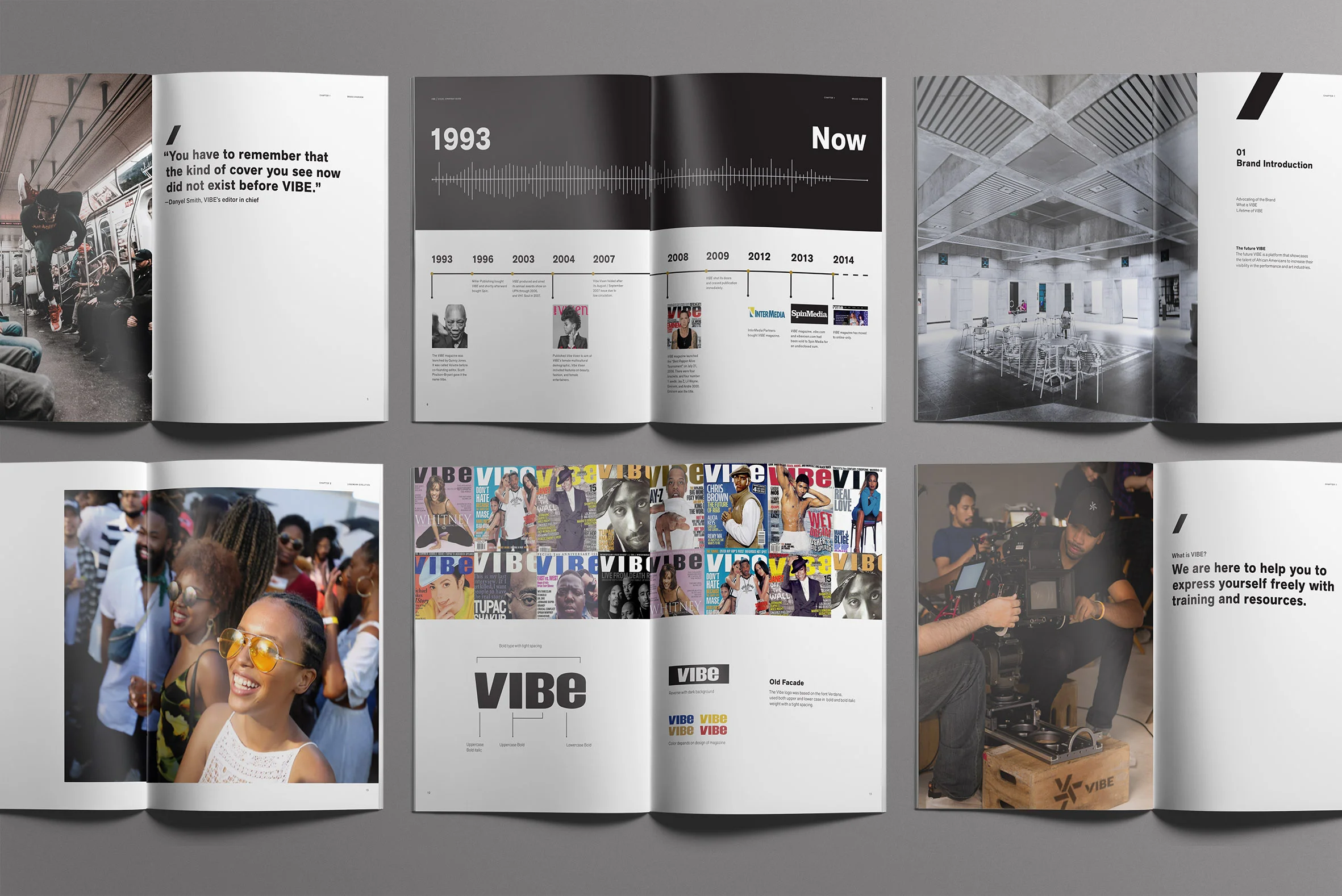 VIBE-overview copy.jpg