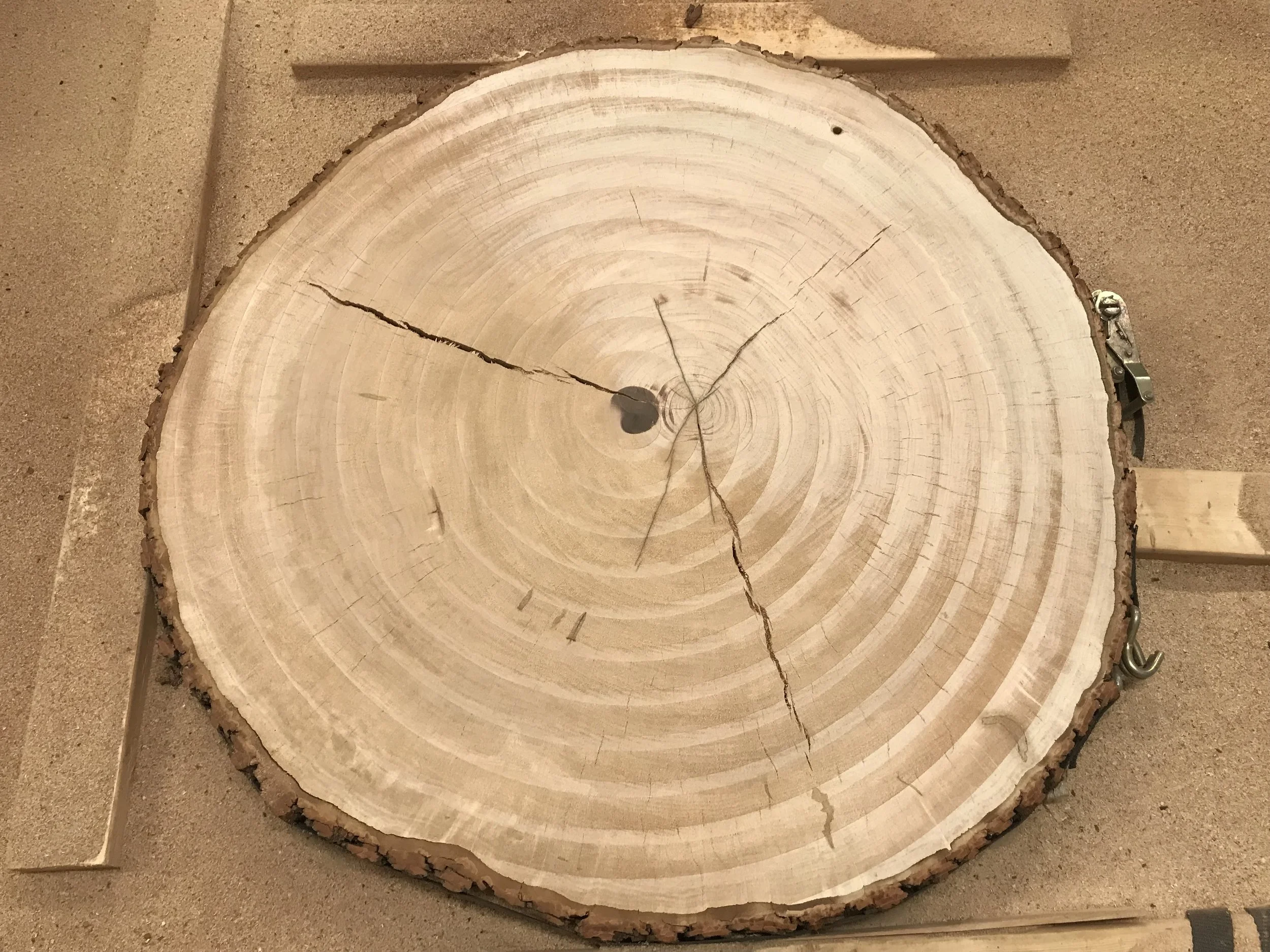 CNC flattened cookie