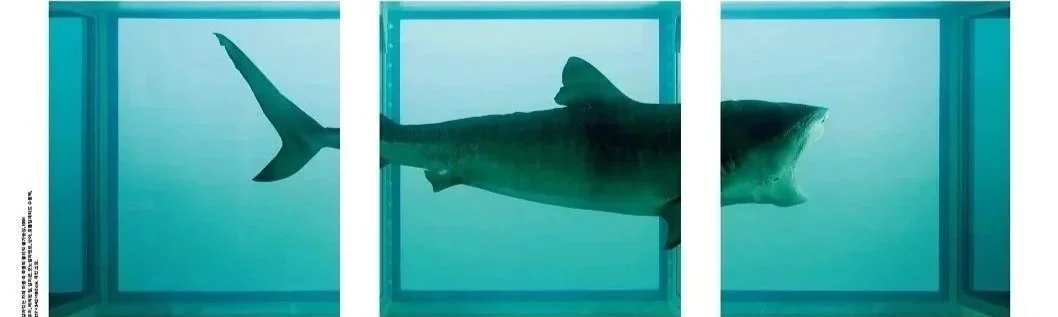 국립현대미술관 <데이미언 허스트>전, 얼리버드 예매와 이벤트 시작