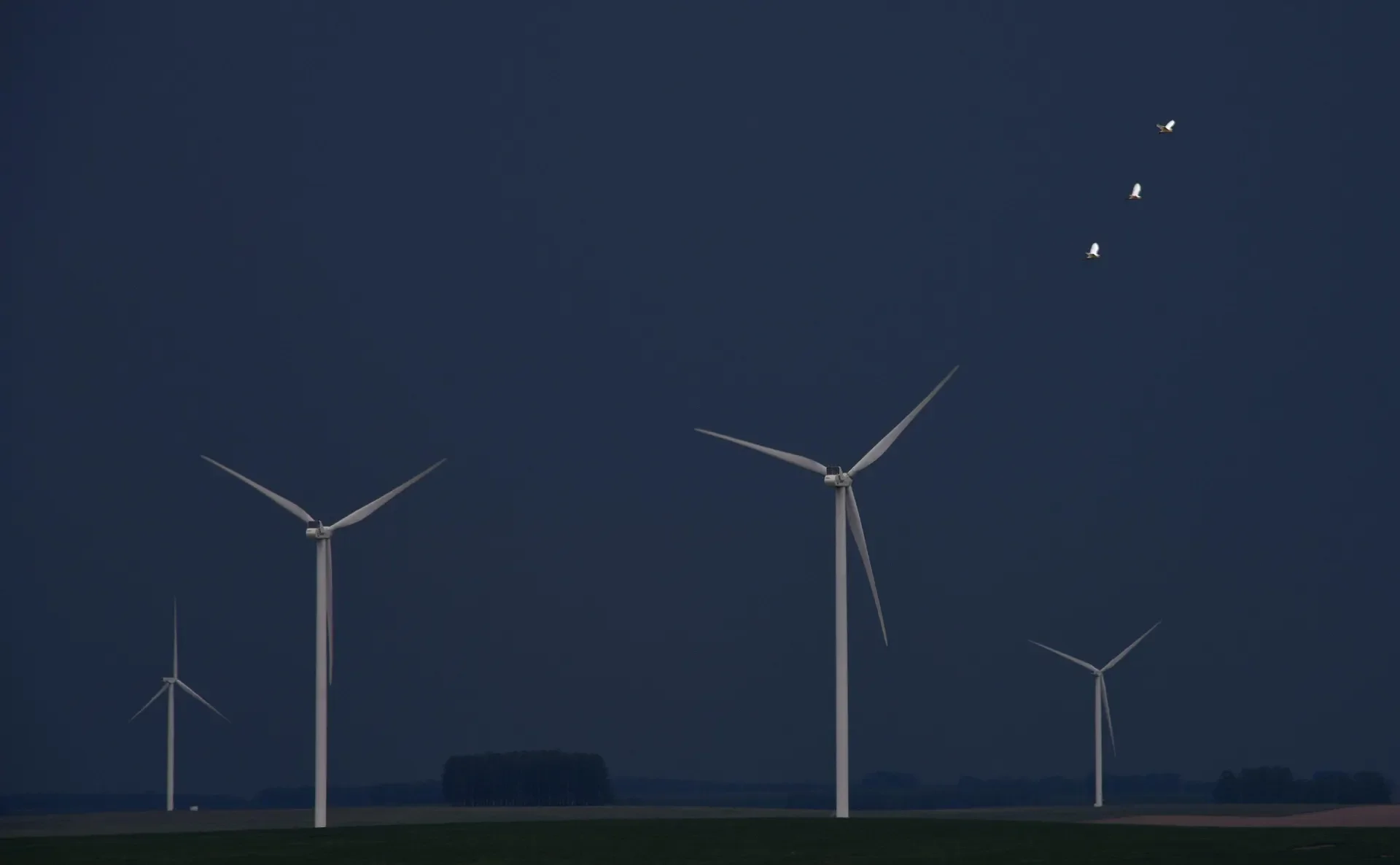 Uruguay’s Renewable Charge: A Small Nation, A Big Lesson For The World