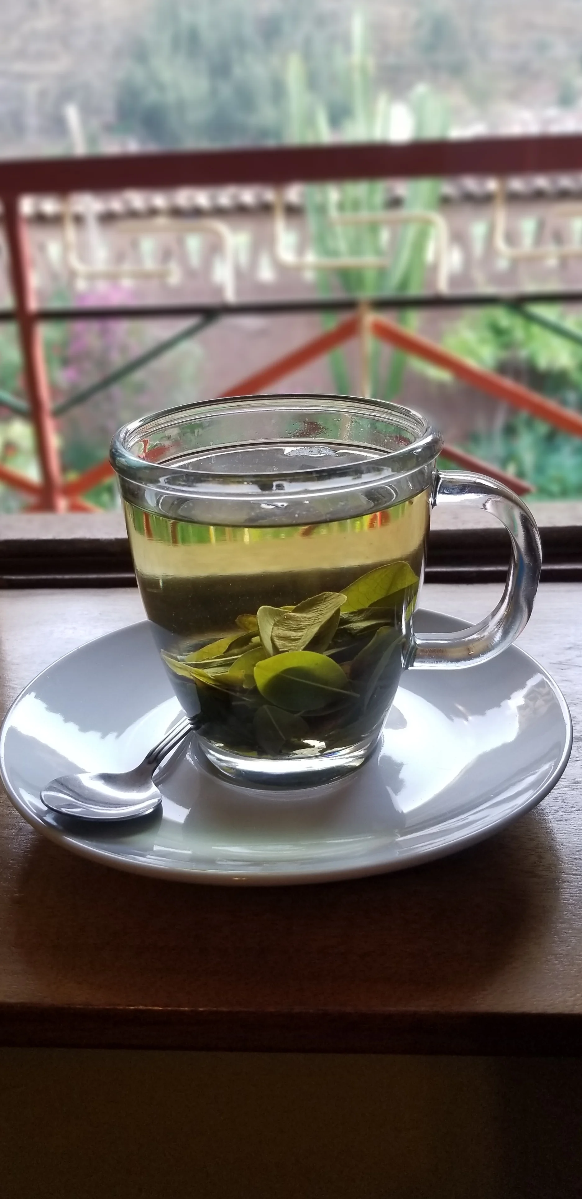 20181013_155138.jpg