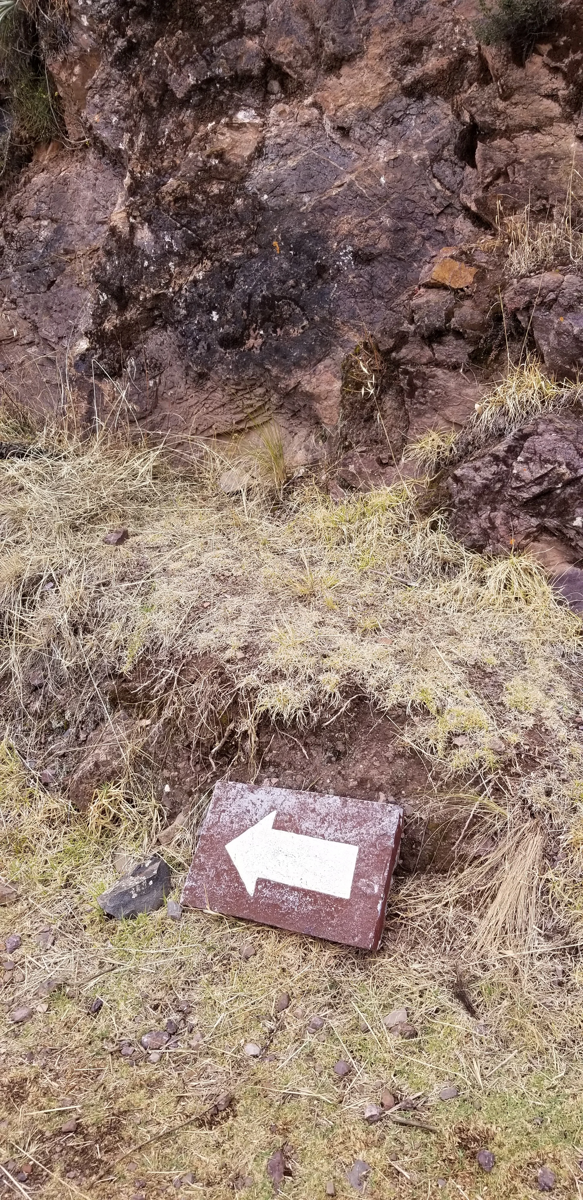 20181013_104027.jpg