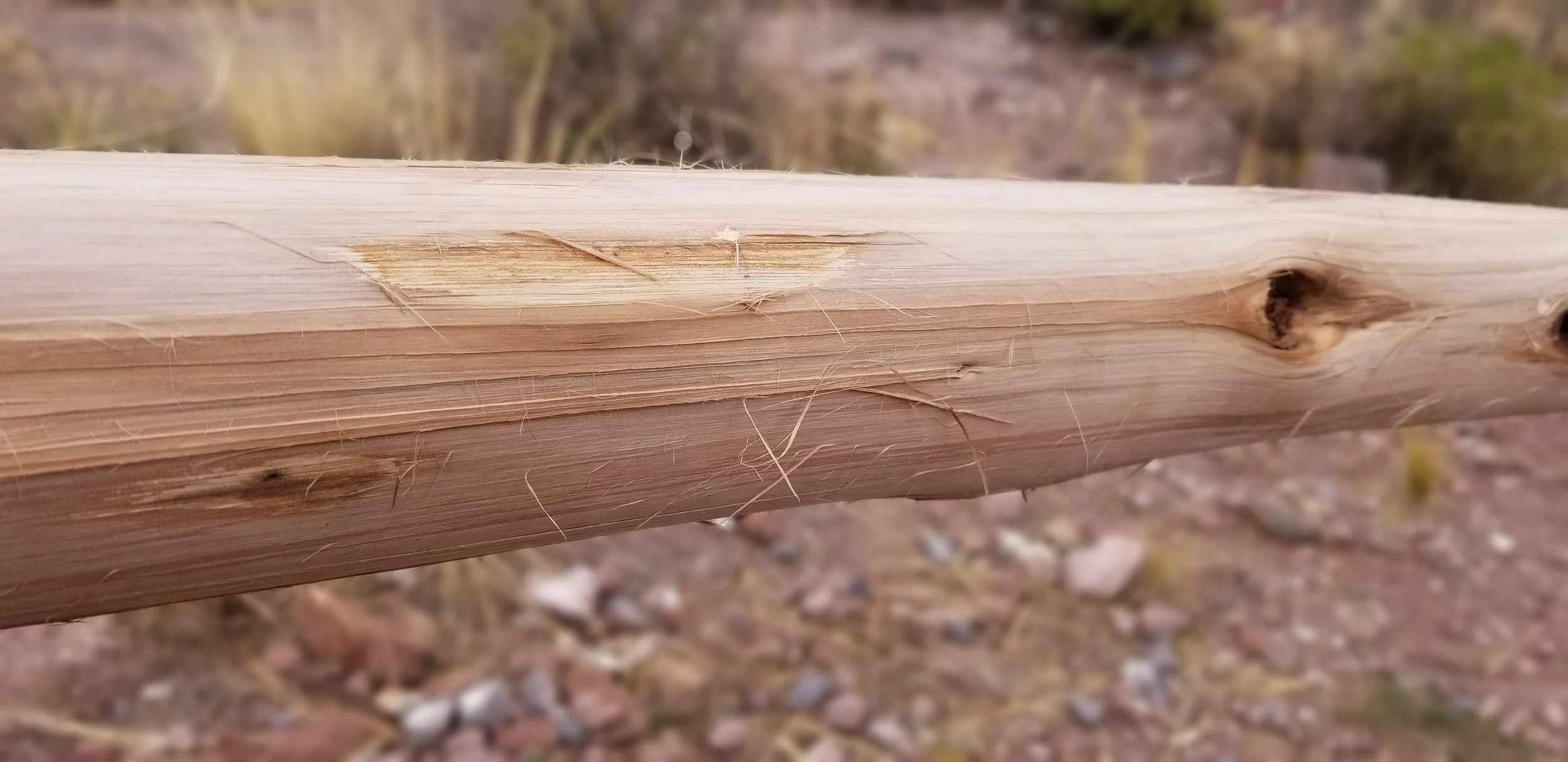 20181013_113628.jpg