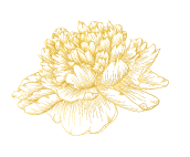 SingleFloral.png
