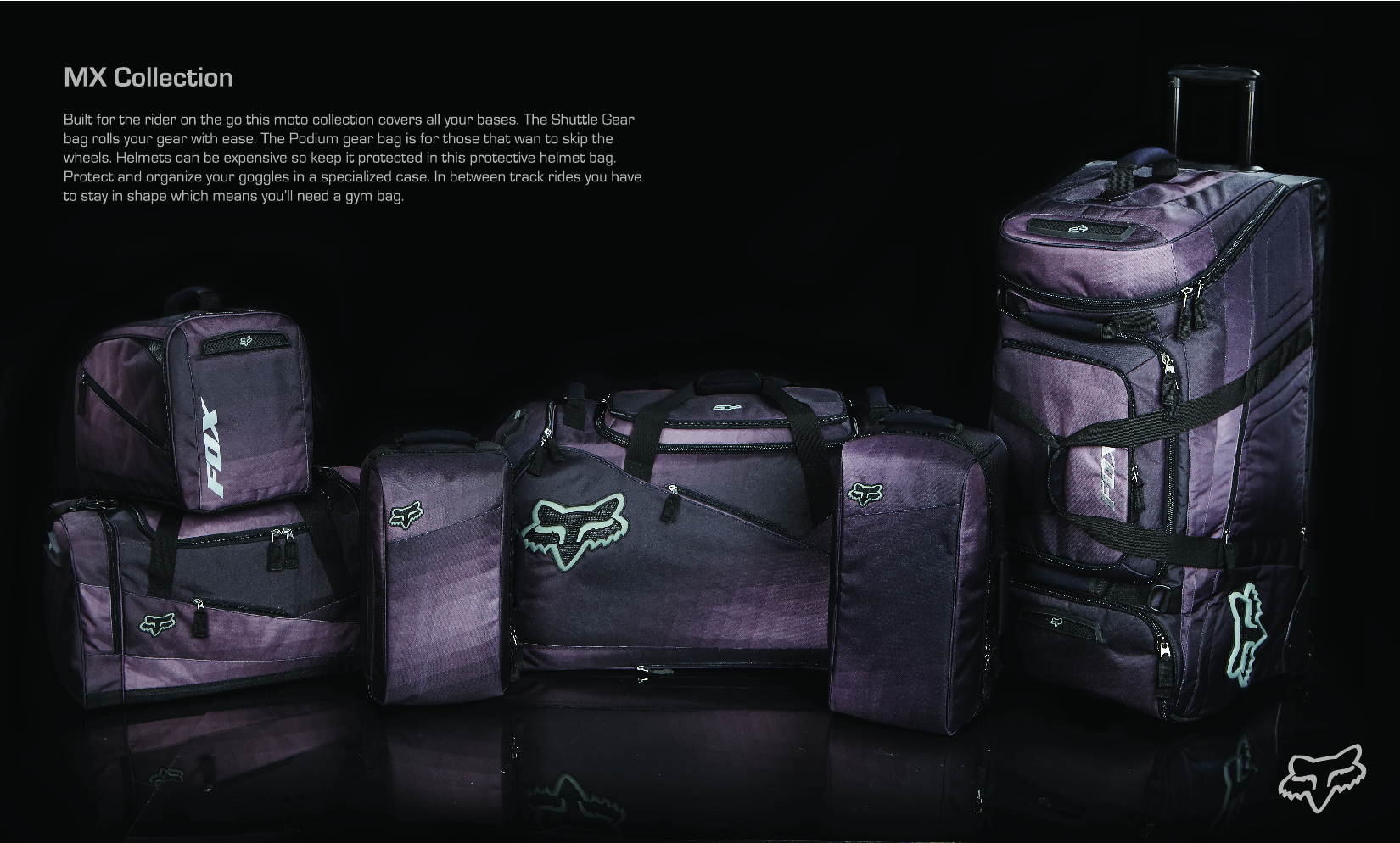 fox front pg-01-01.jpg