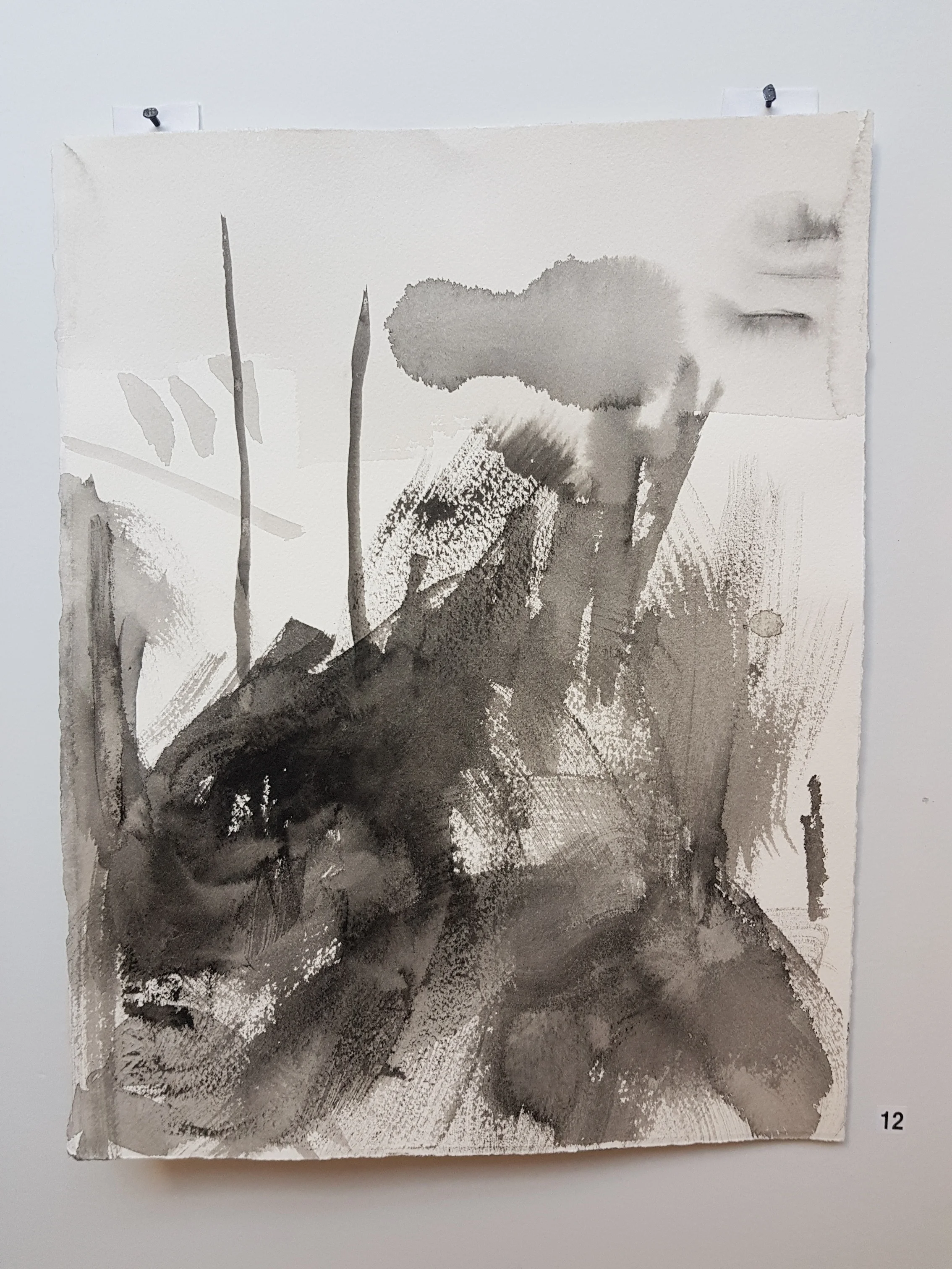 Lot 413: Balga Study