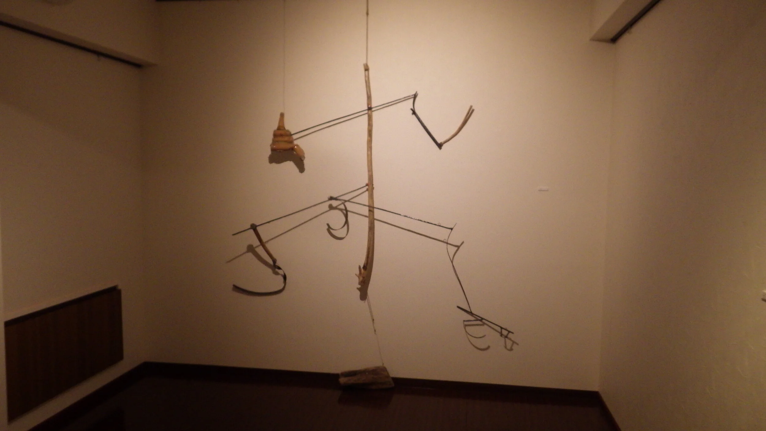 IMGP1687.JPG