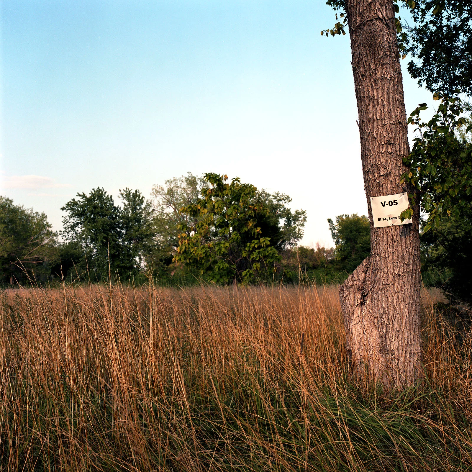 25_Vacant Lot.jpg