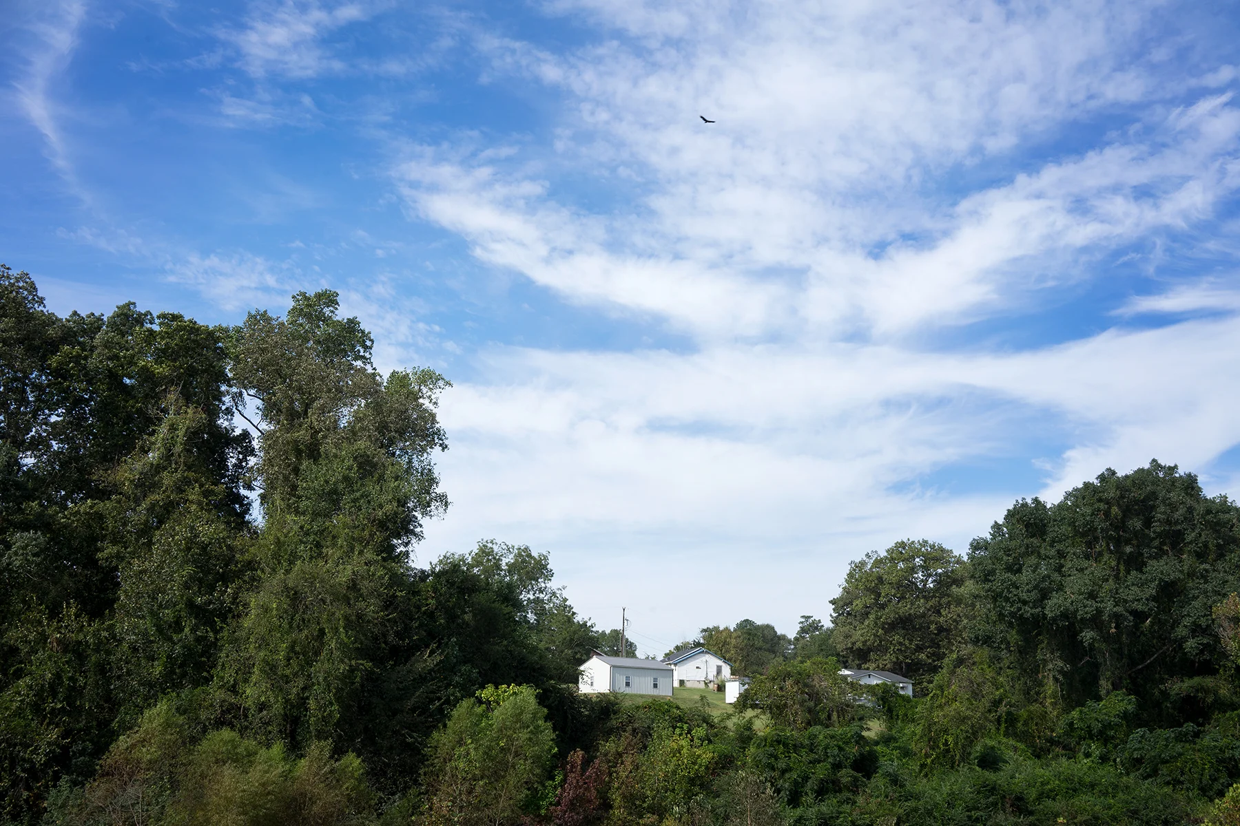 Whitmire House.jpg