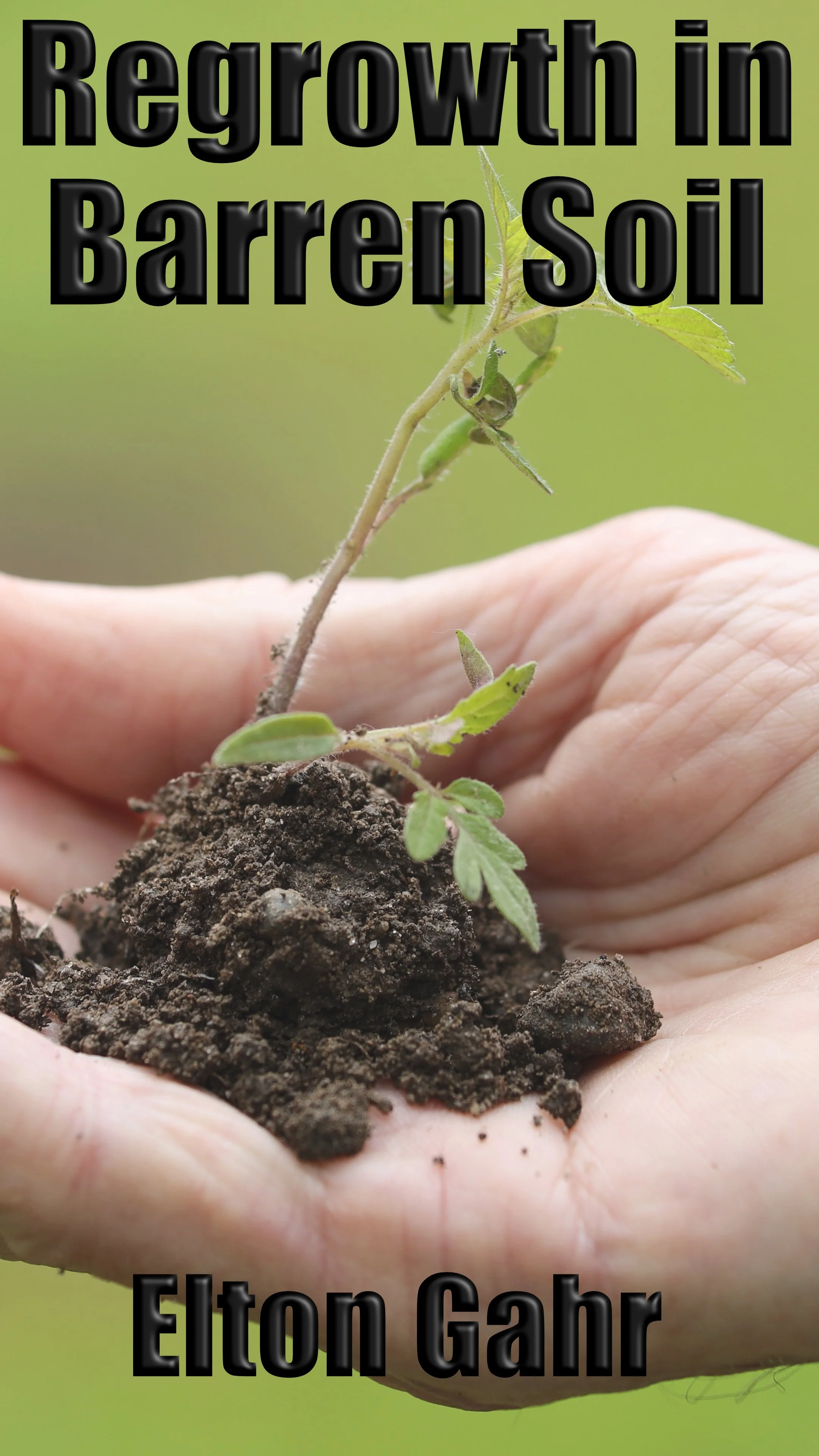 Regrowth In Barren Soil