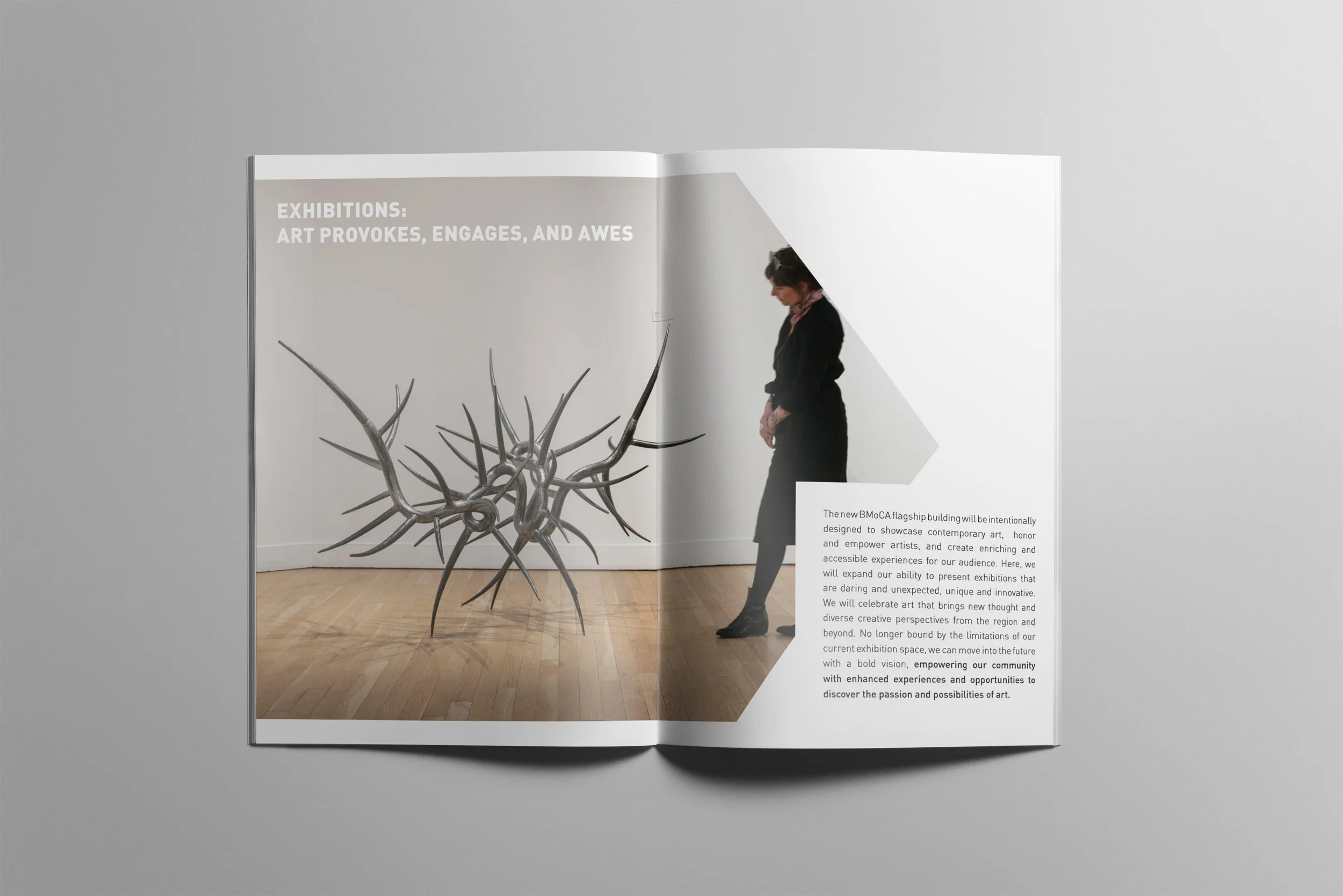 Brochure for Expansion 3.jpg