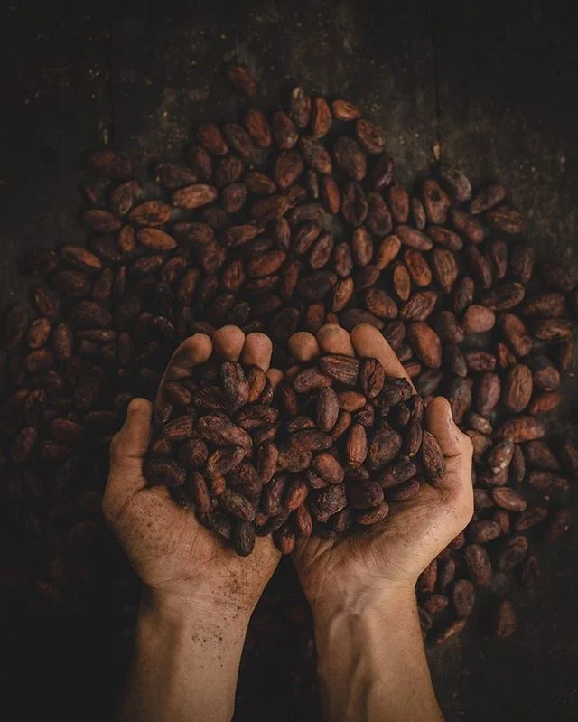 Discover the delicious benefits of cacao on our website ✨ ancient ways for modern times ☕️ www.skycircles.co