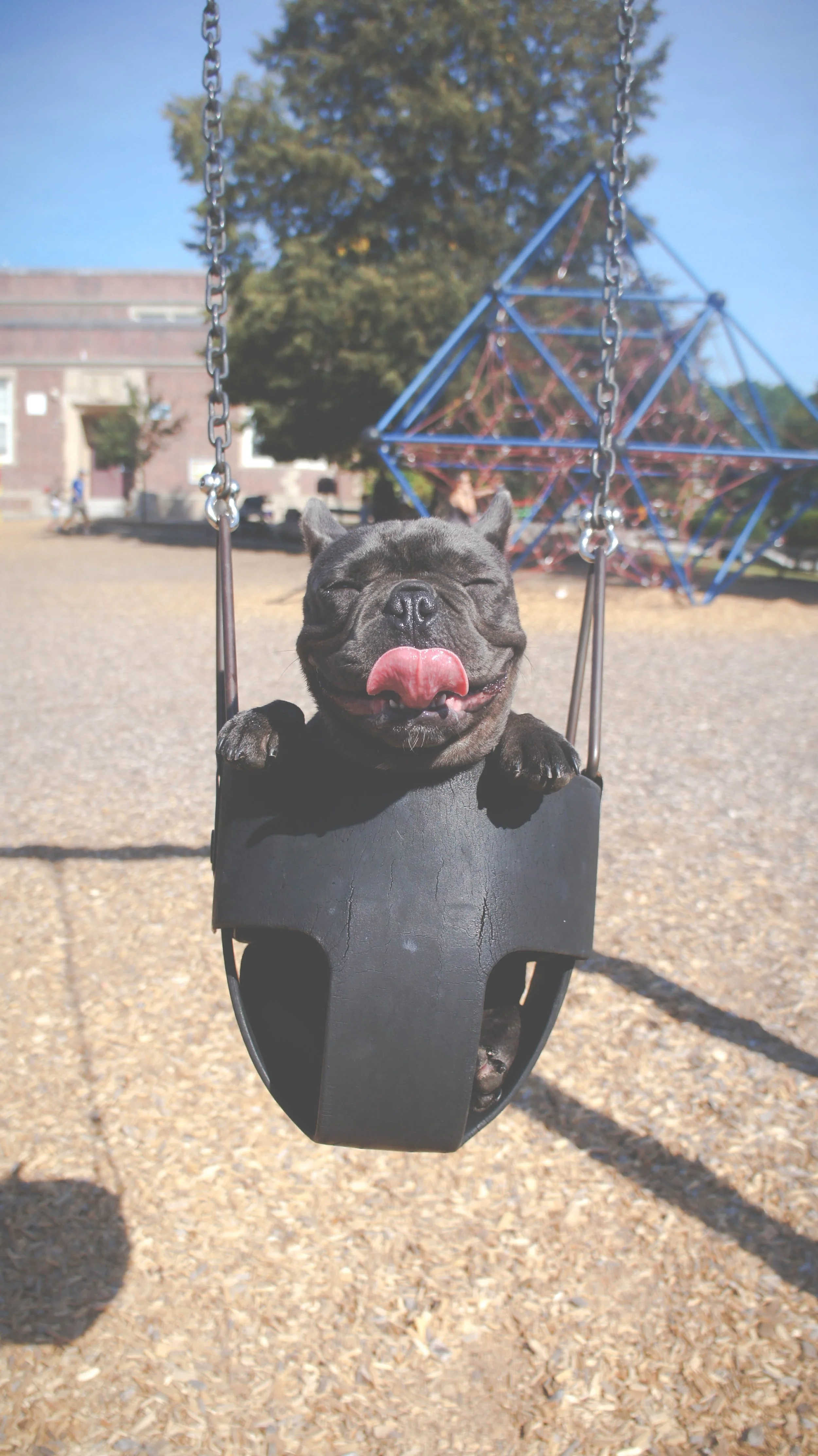 swing.jpg