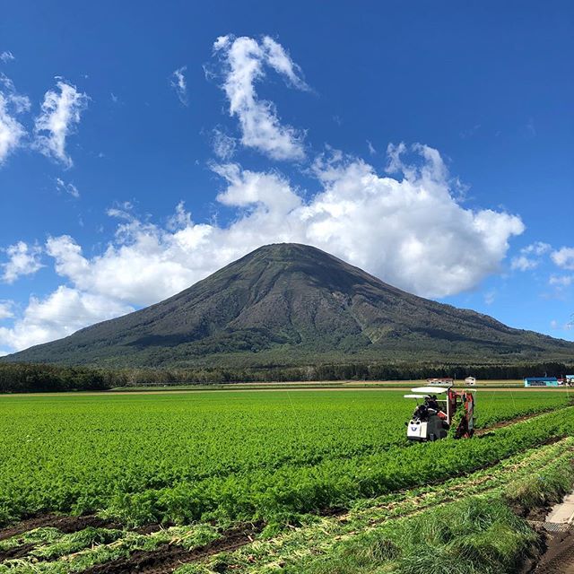 Hokkaido has the most incredible blue sky!

#bmcsenseilukas #nature #english #hokkaido #nofilter