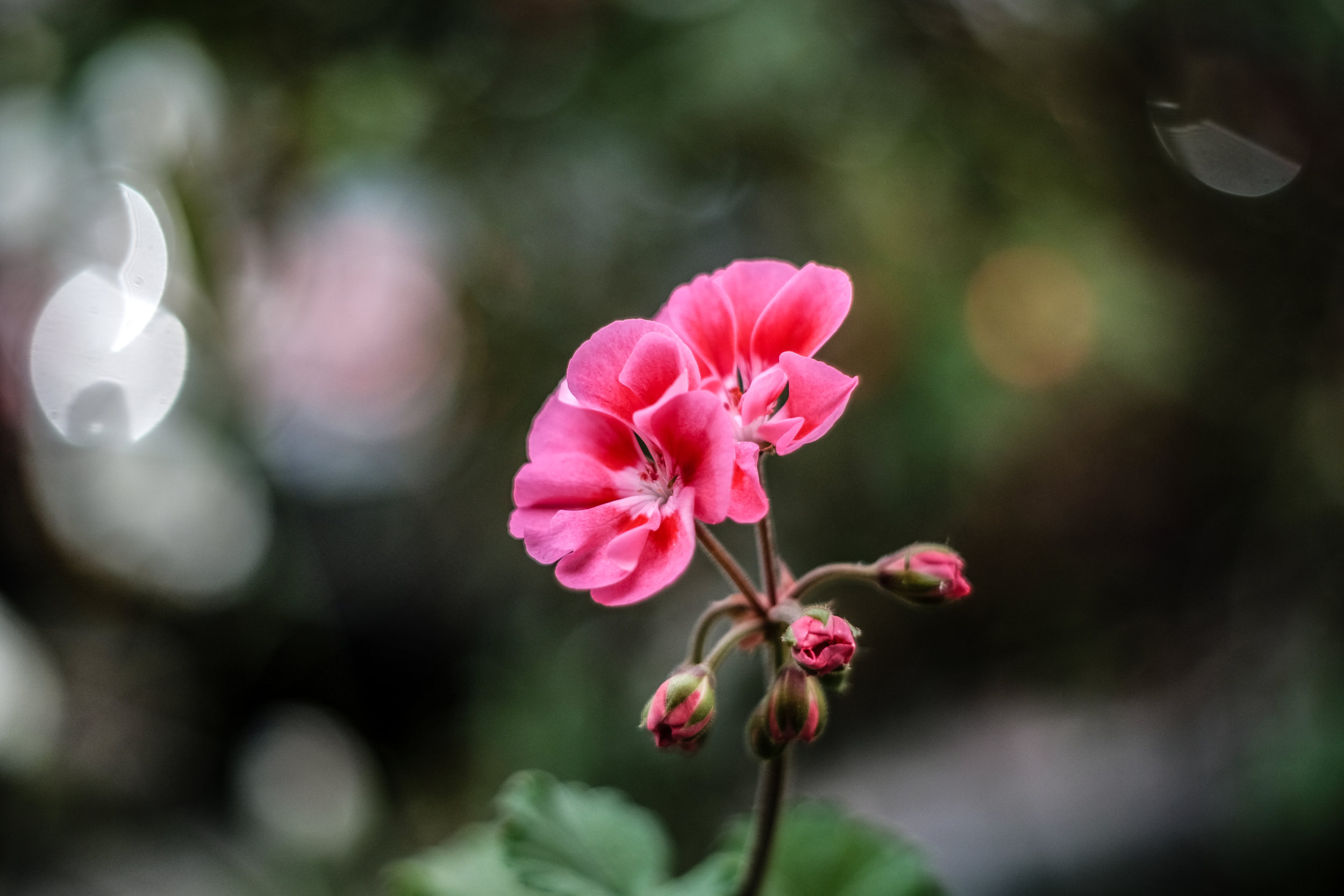 役に立つ英語表現 : PART 271