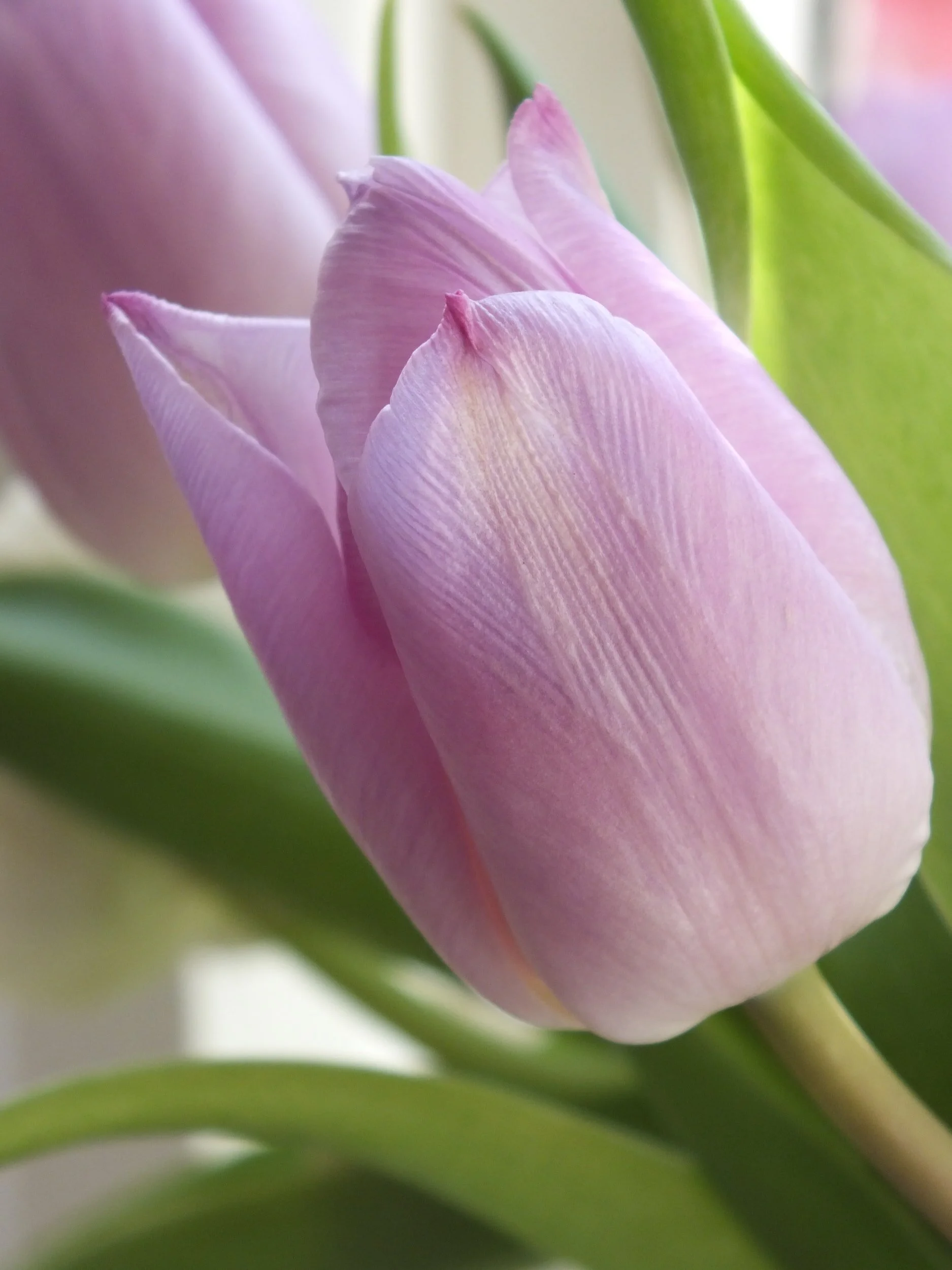 役に立つ英語表現 : PART 293