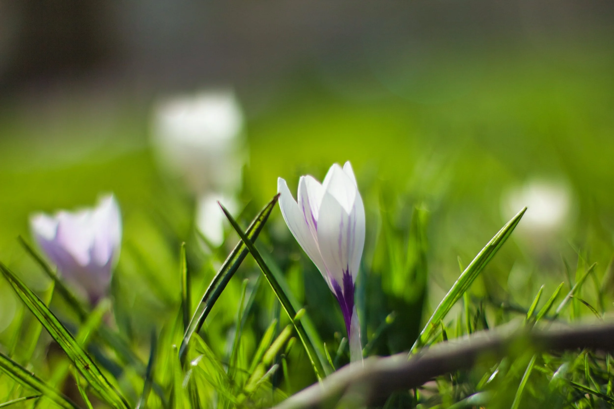 ☆2021 English Phrases of March☆  