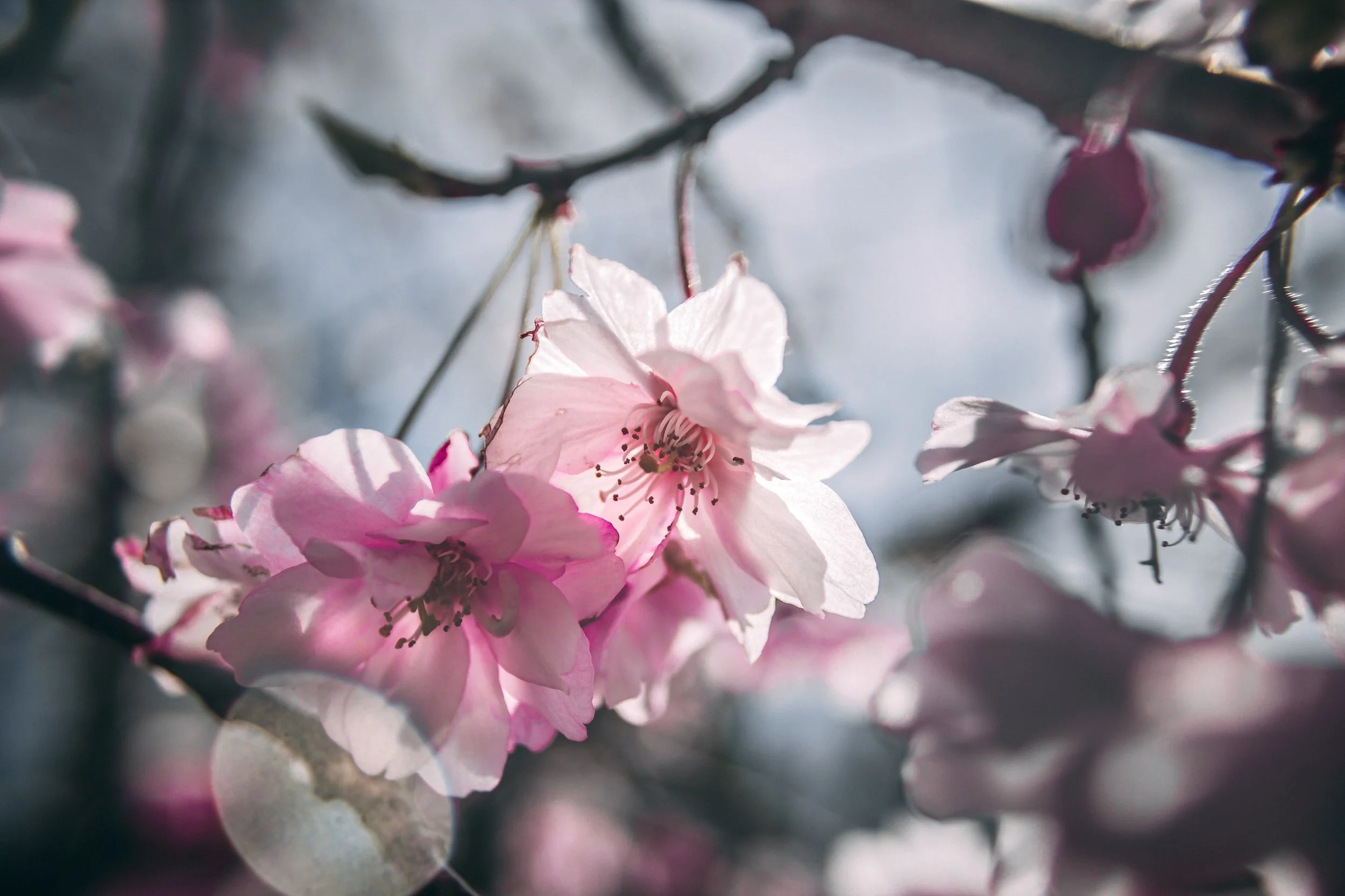 役に立つ英語表現 : PART 303