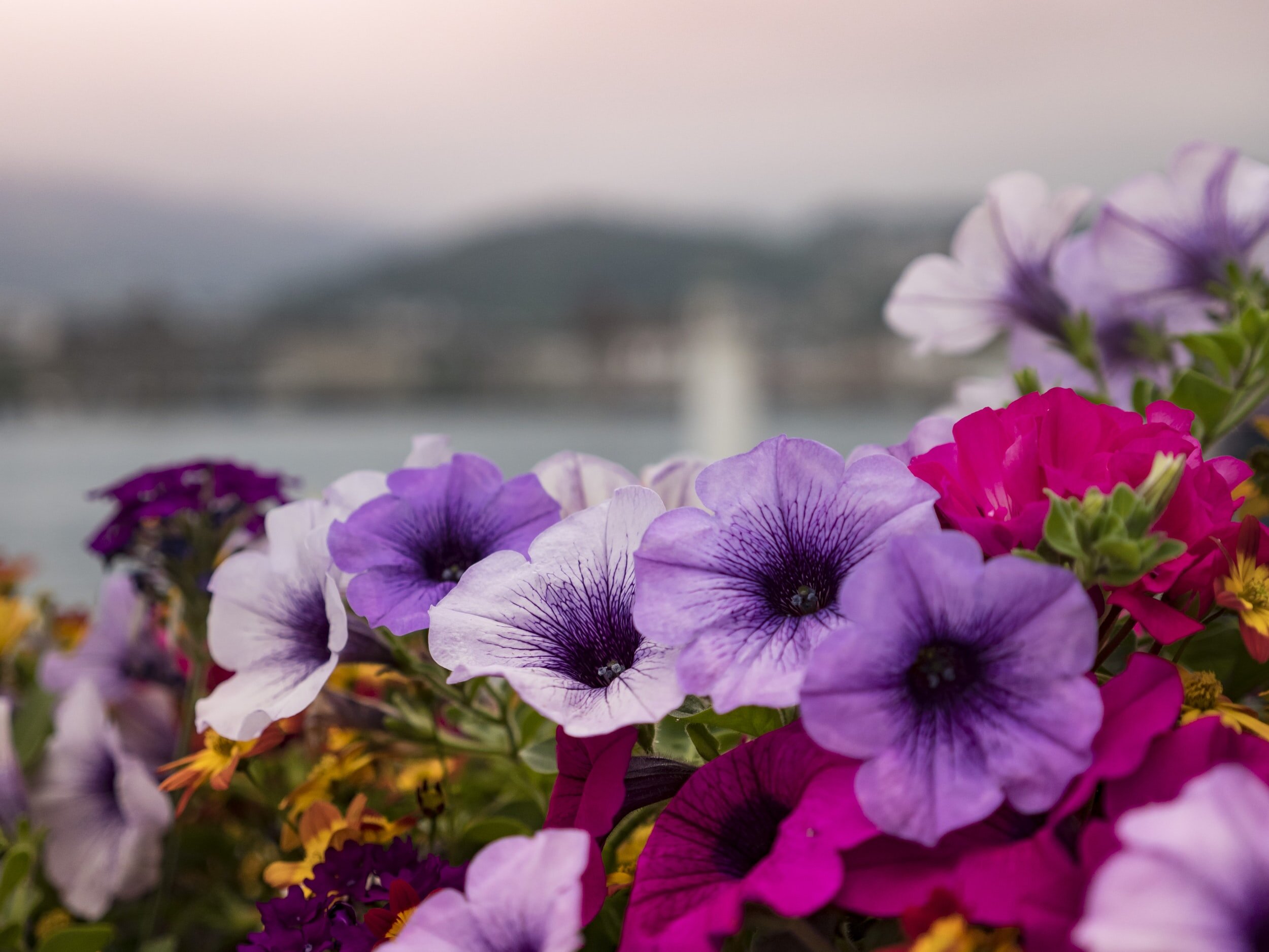 役に立つ英語表現 : PART 310