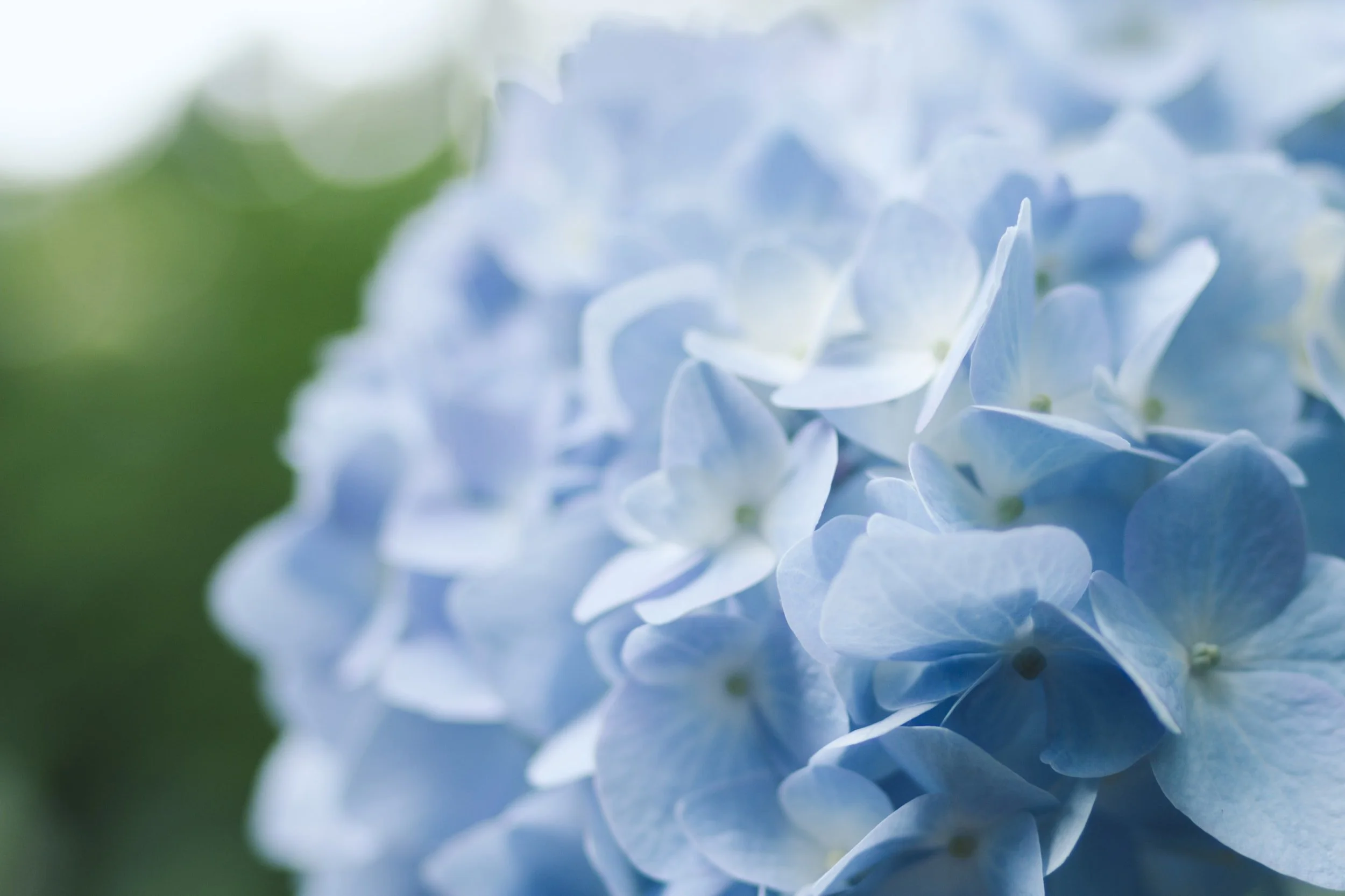 ☆向かっている途中☆英語で？