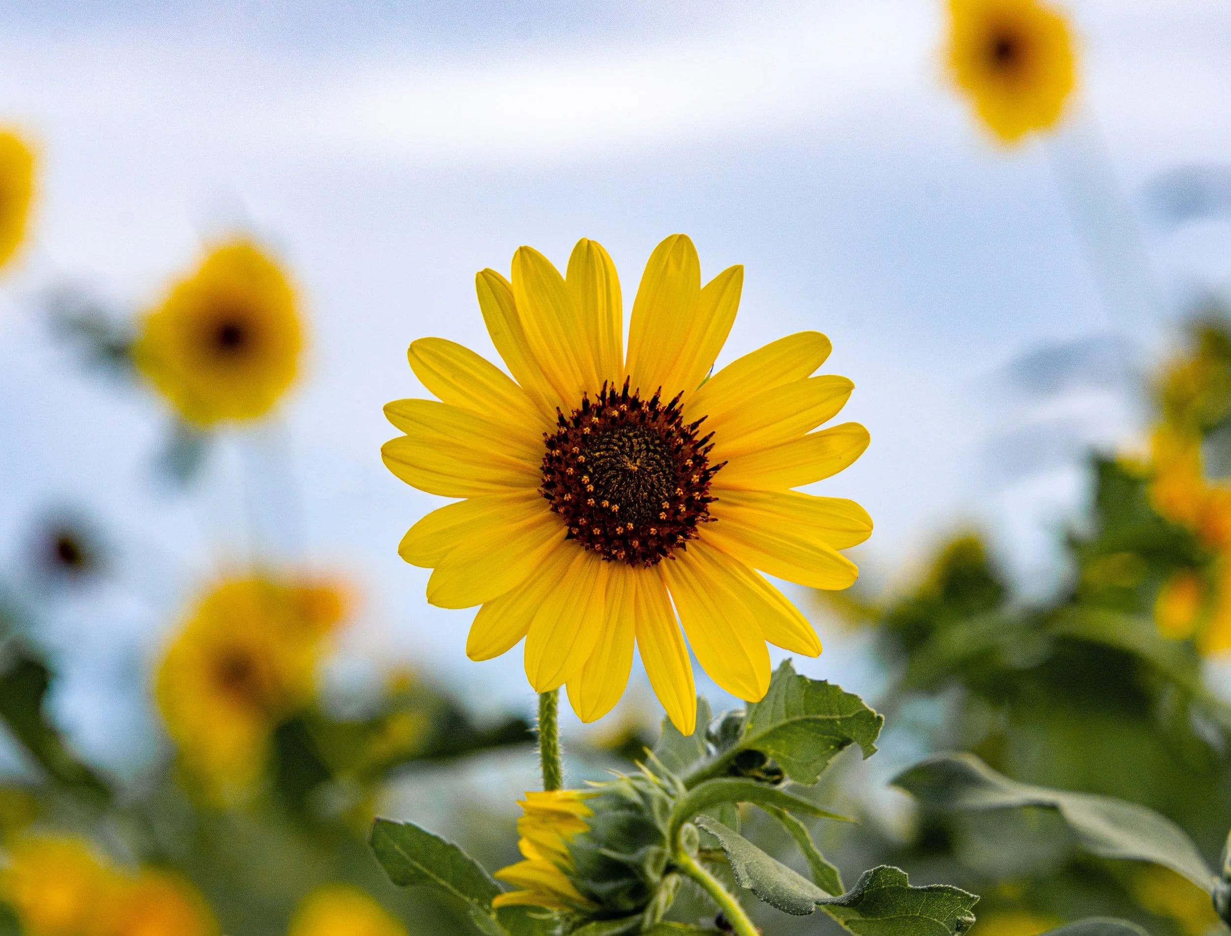 ☆楽しみにしています　英語で☆  