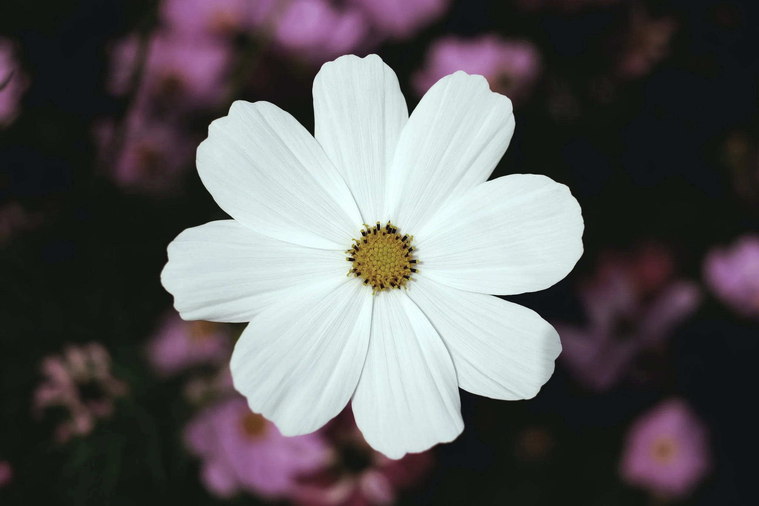 ☆英語ナチュラル表現☆ 