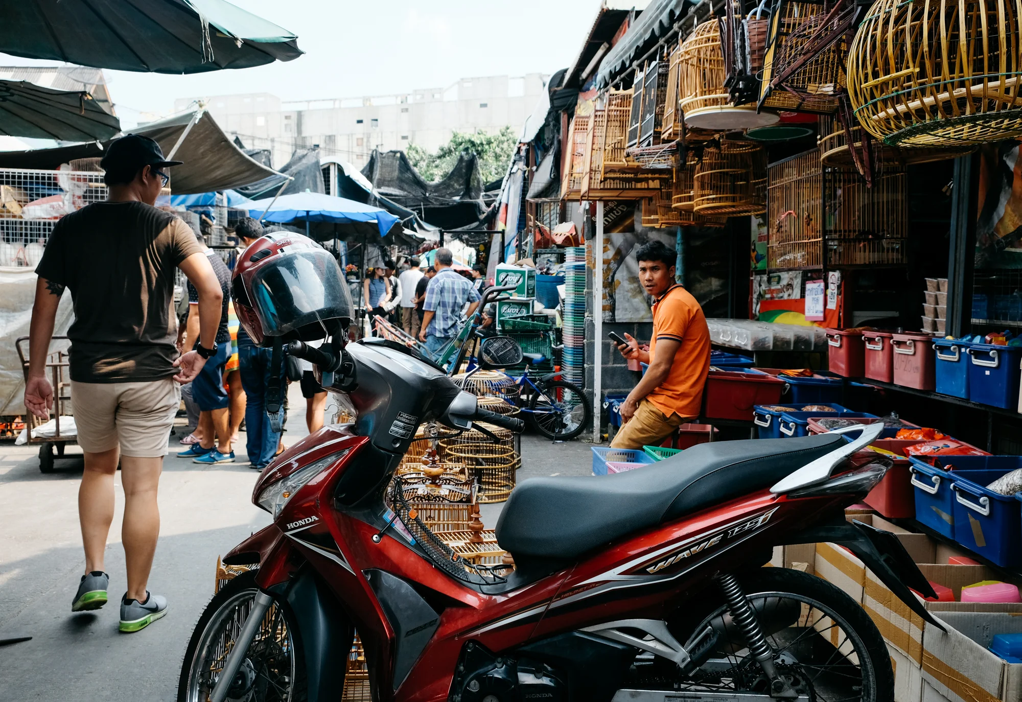 Chatuchak market, Bangkok