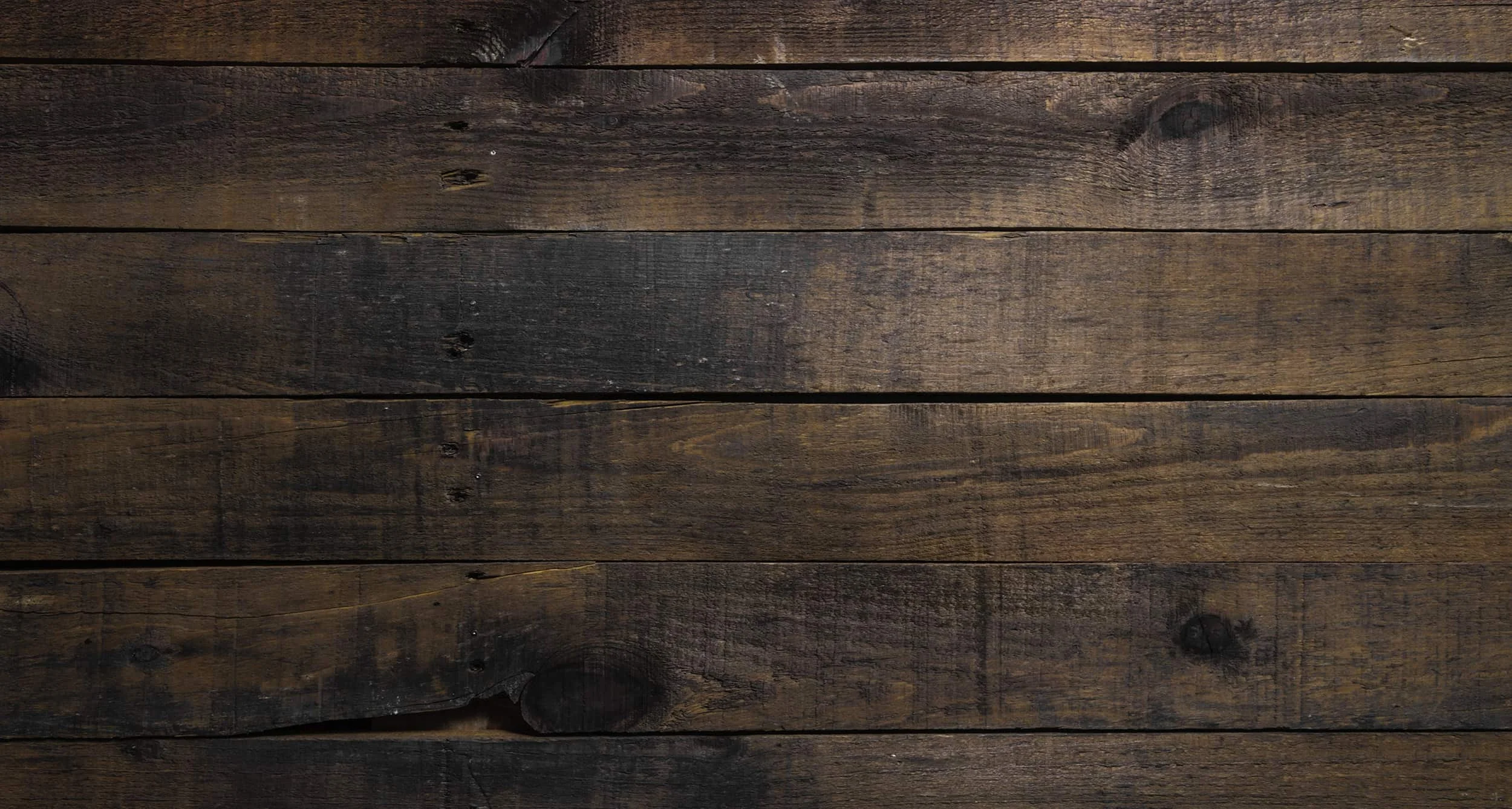 banner 3-min-2.jpg