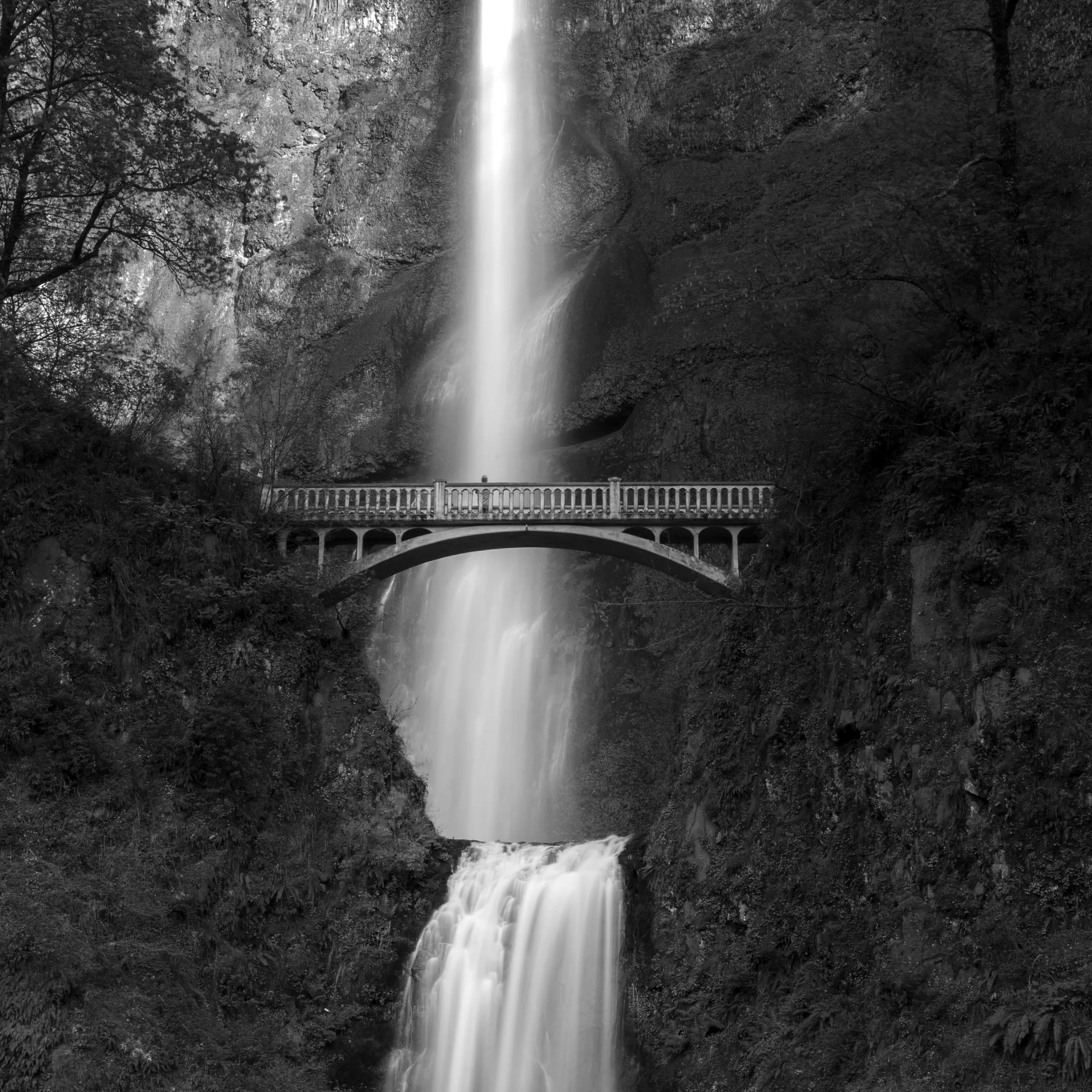 Multnomah_BW.jpg