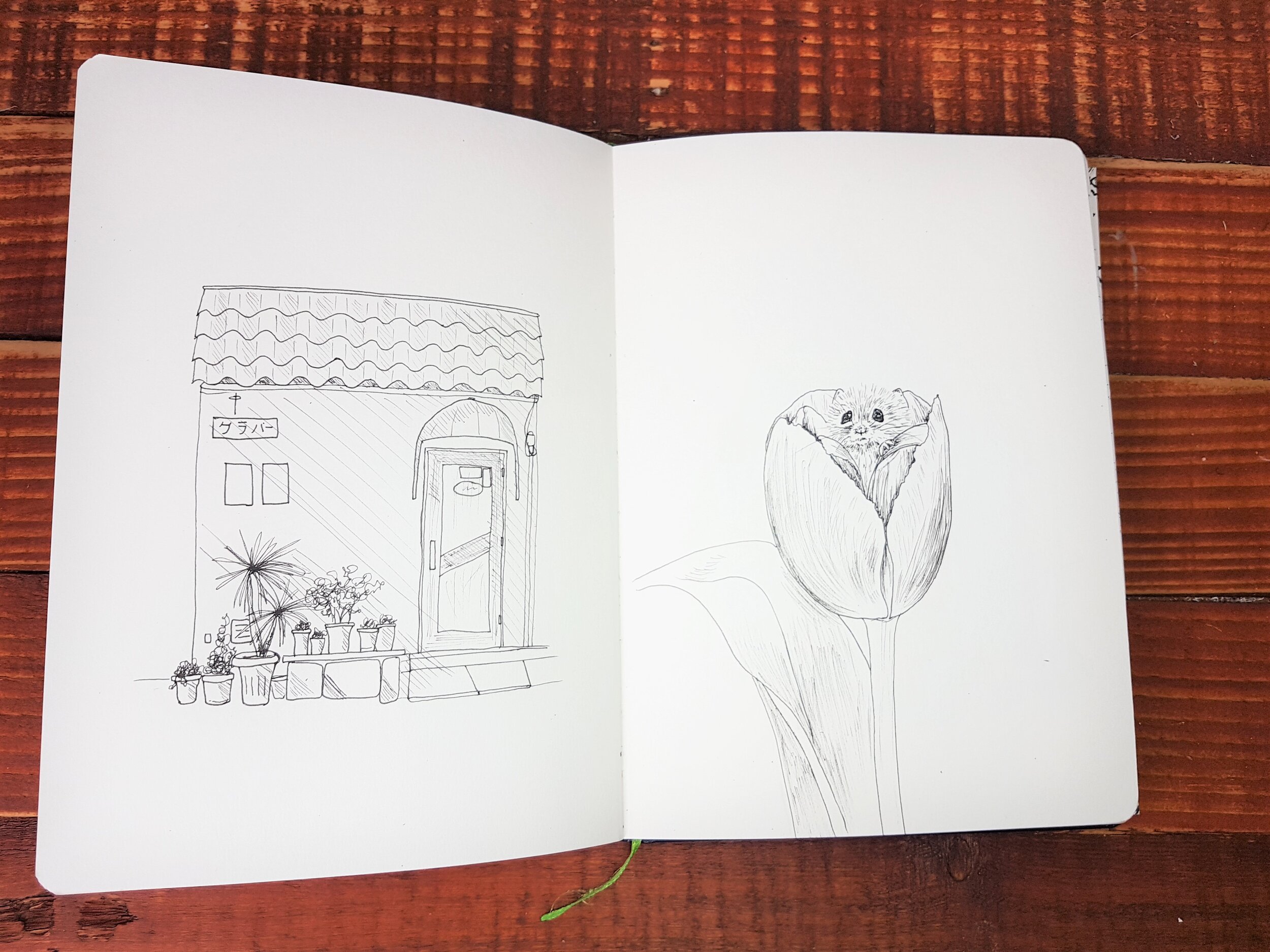 How to deal with unwanted sketchbook drawings — Cathryn Worrell Art &  Illustration