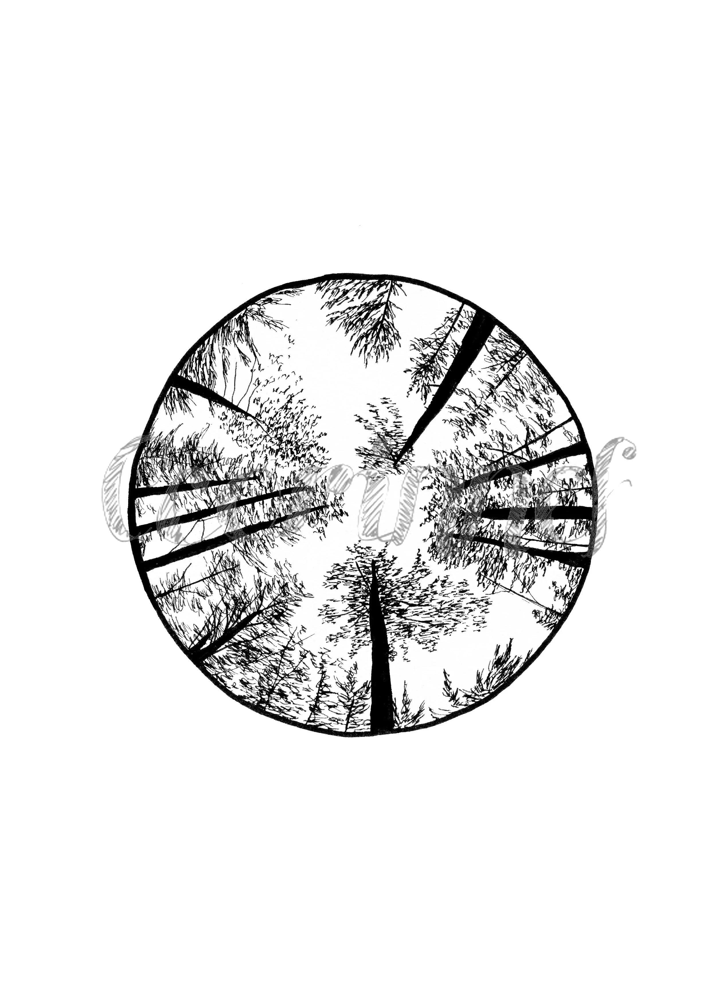treetops.jpg