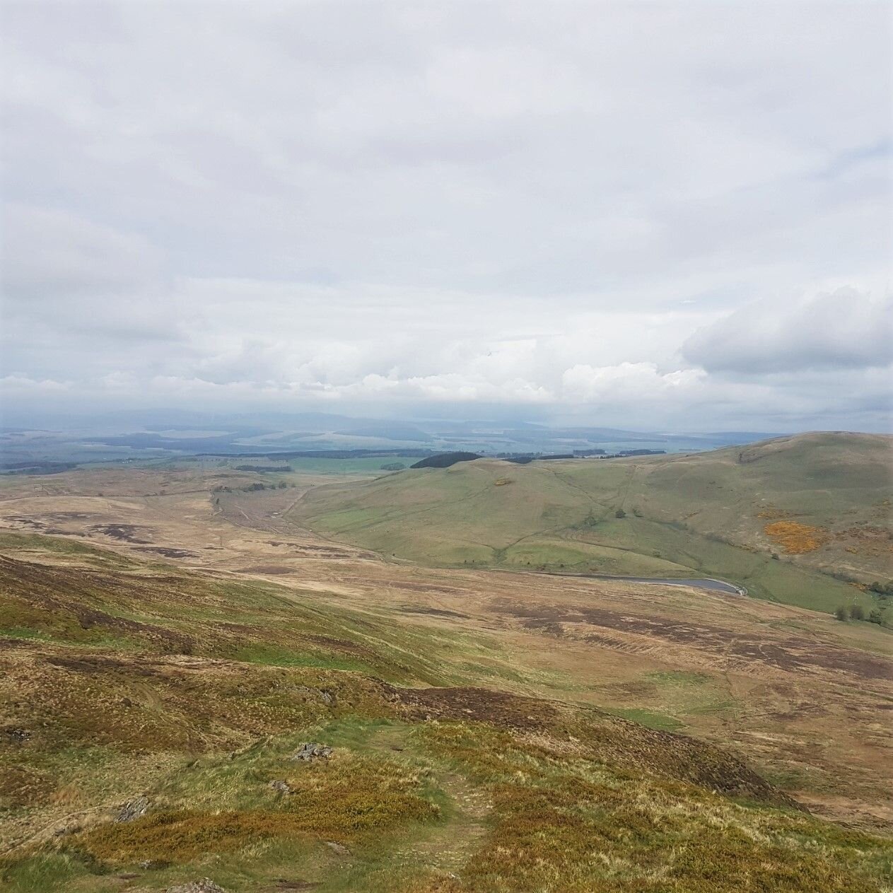 throwback to summer days on the hills
 . 
 . 
 . 
#throwback #tb #summer #winterblues #sad #mountains #hills #stirling #stirlingalive #walk #hiking #getoutside