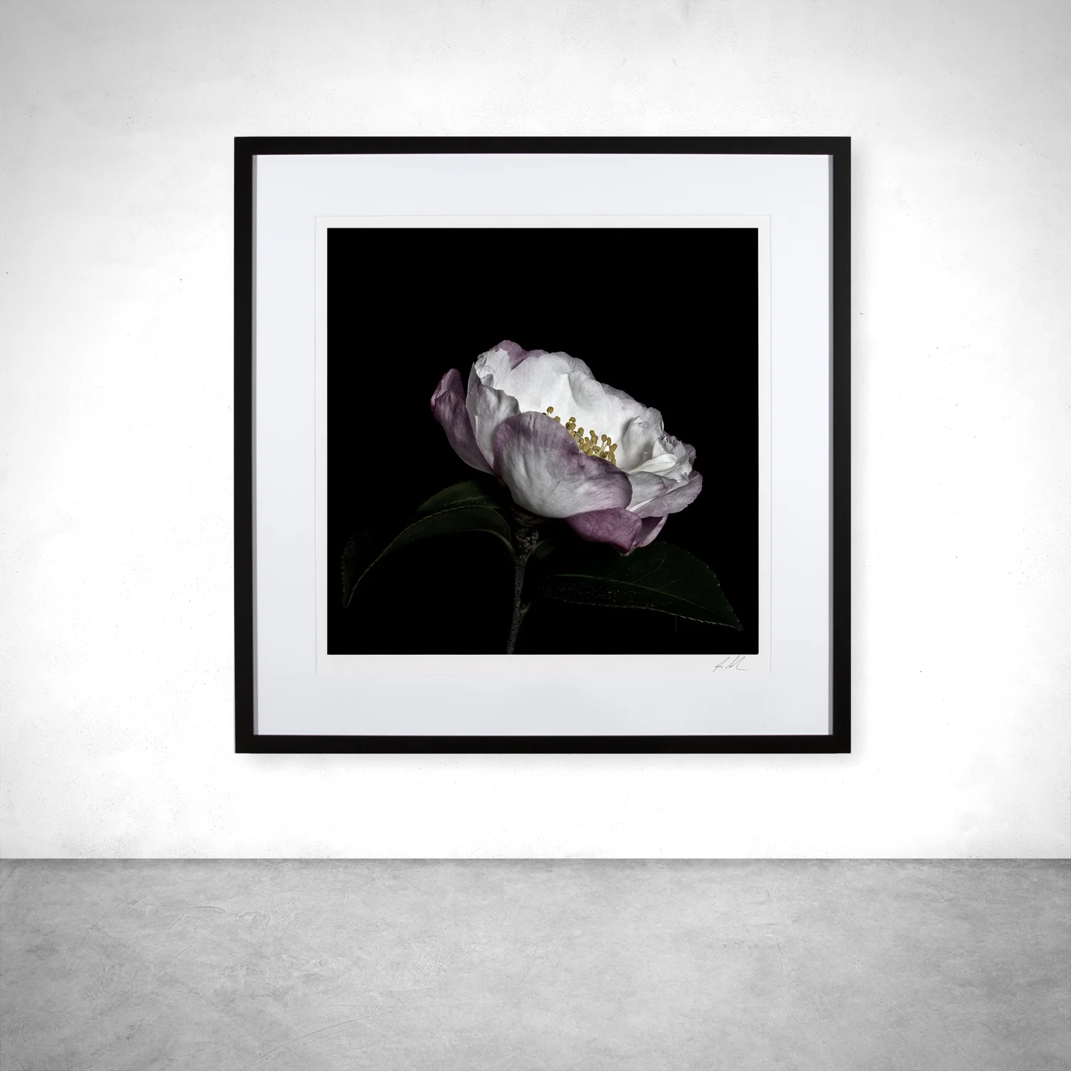 Black Contemporary_Camilla_Square.jpg