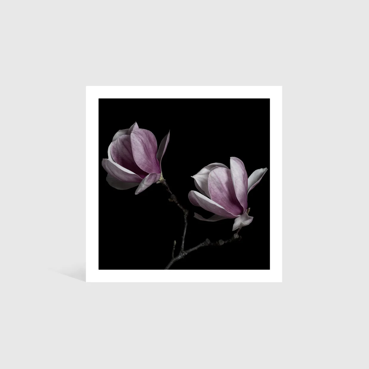 Unframed Twins.jpg