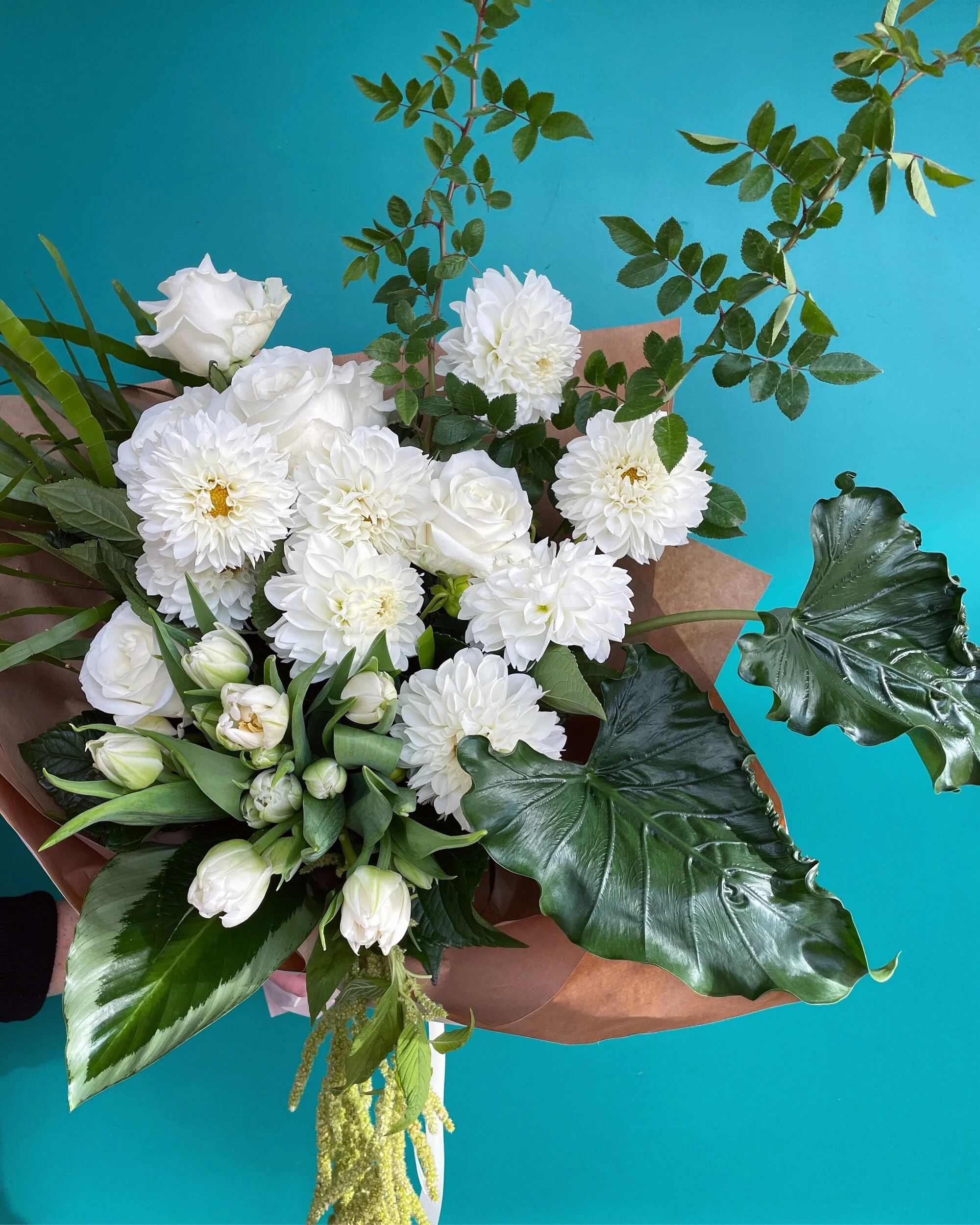 2C3C02E5-9F16-4890-BE71-6AD3348FDCAB