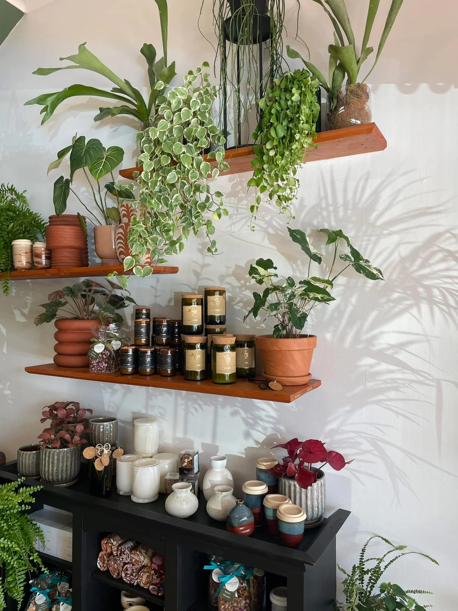 candles-gifts-plants.jpeg